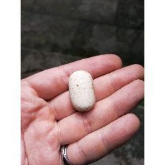  strong>很老的鸡骨白珠子 /strong>_天珠_其他天珠__年代不详__其他