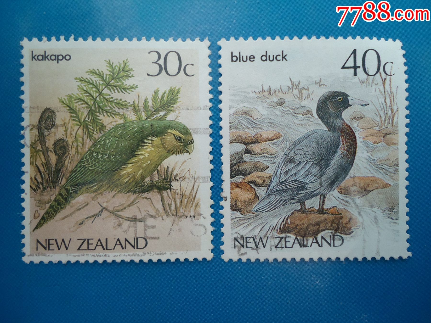 新西兰发行《鸟》(4枚)_大洋洲邮票_第2张_7788期刊网