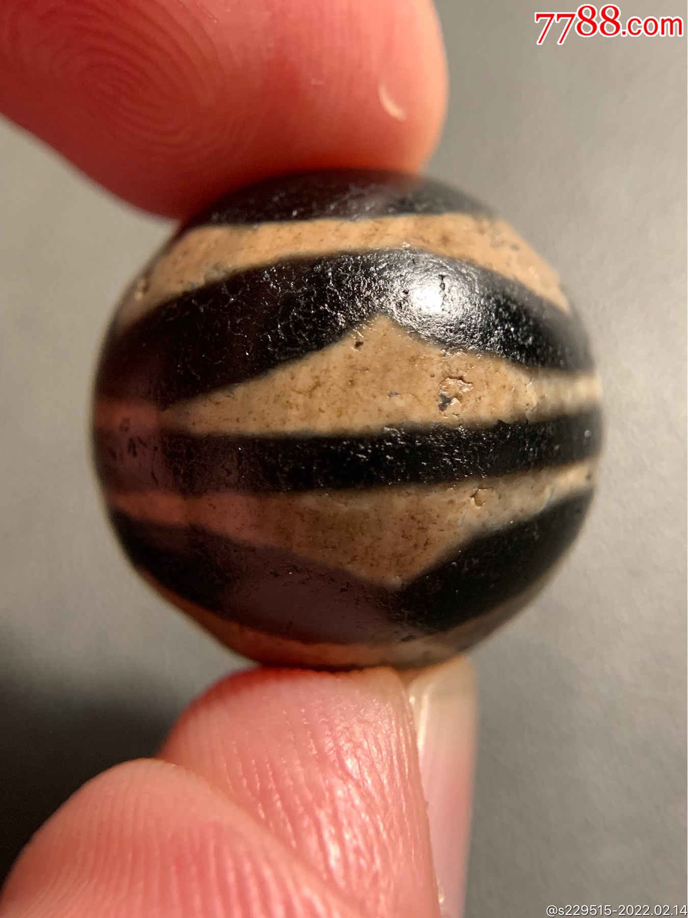 藏传双虎牙达洛天珠圆珠19520毫米