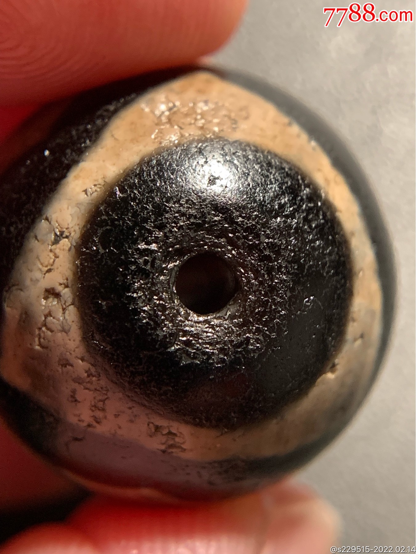 藏传双虎牙达洛天珠圆珠19520毫米