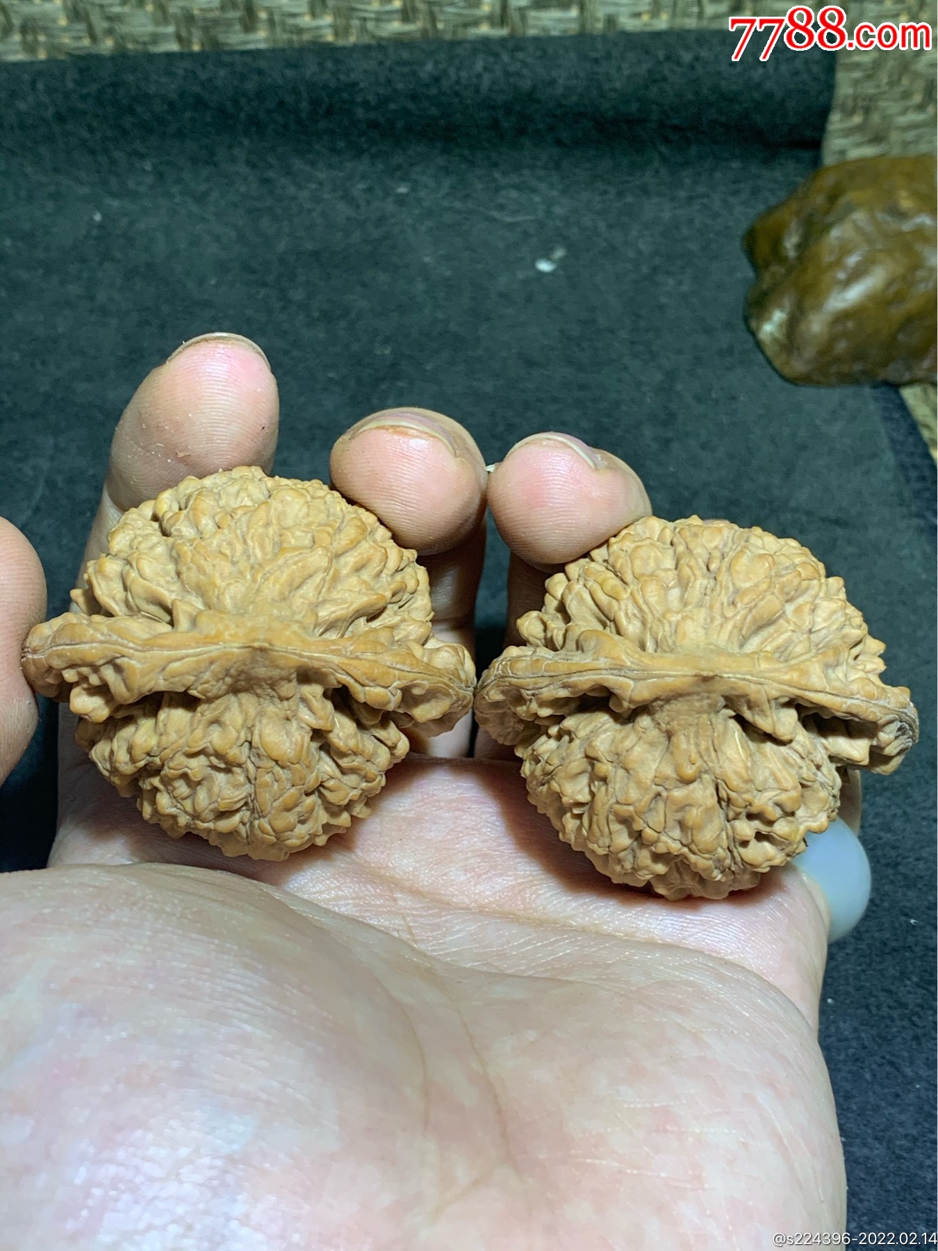 仅此一对精美麒麟纹王勇官帽文玩麻核桃一对