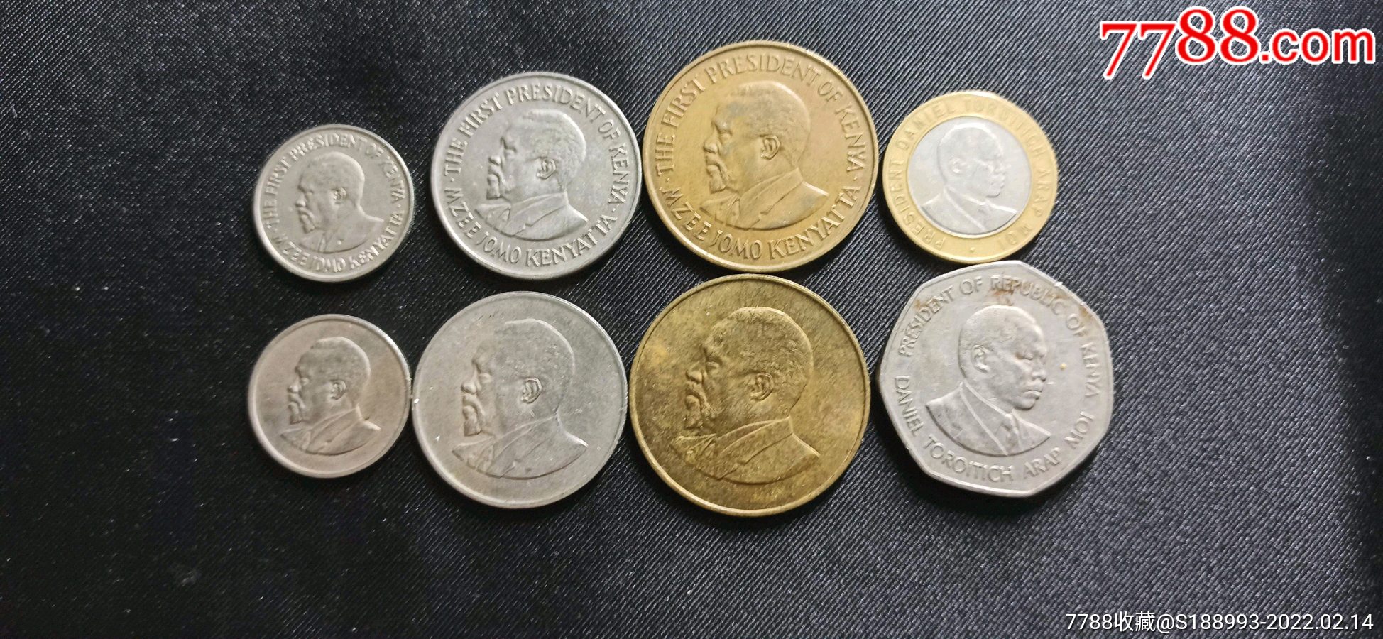 肯尼亚硬币8枚