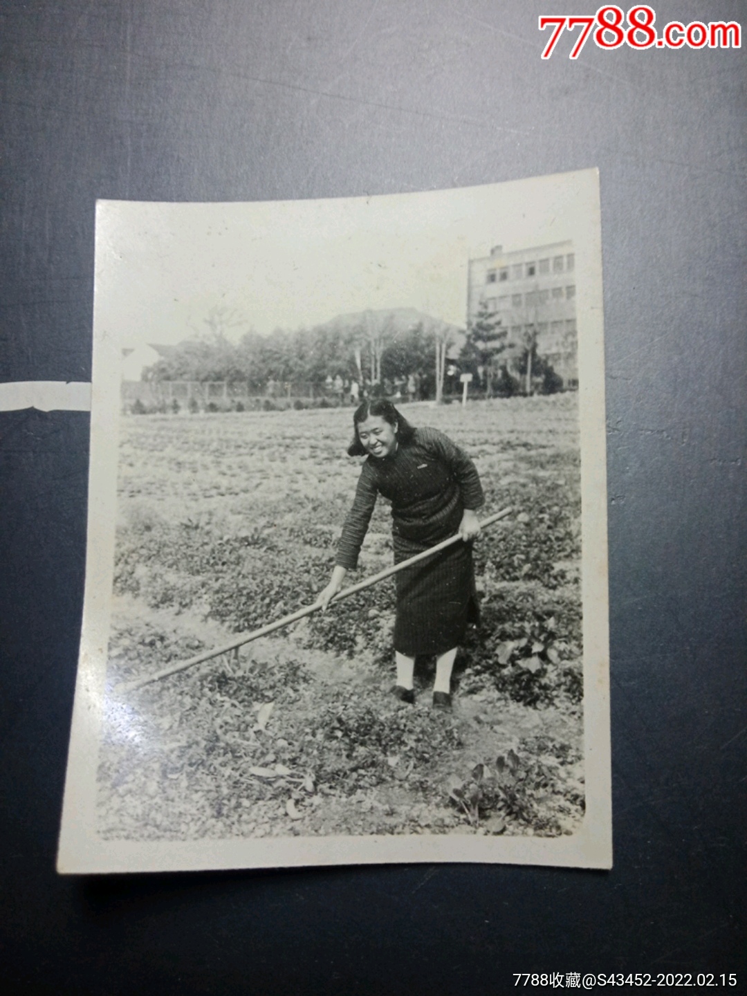 穿旗袍锄地的女子_老照片_种类图片_收藏价格_7788茶具