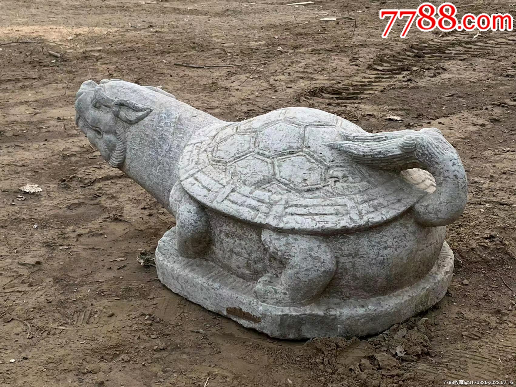明代玄武镇宅龟尺寸长1米宽54青石神龟体形饱满硕大昂首前瞻