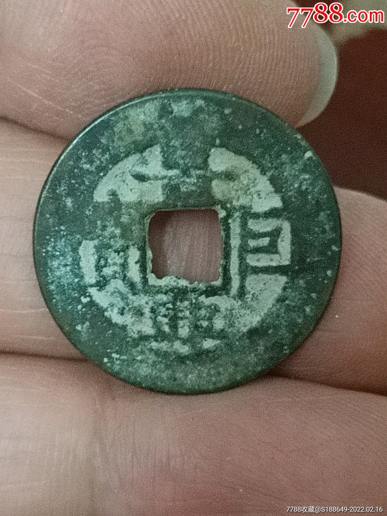 景兴巨宝背上一