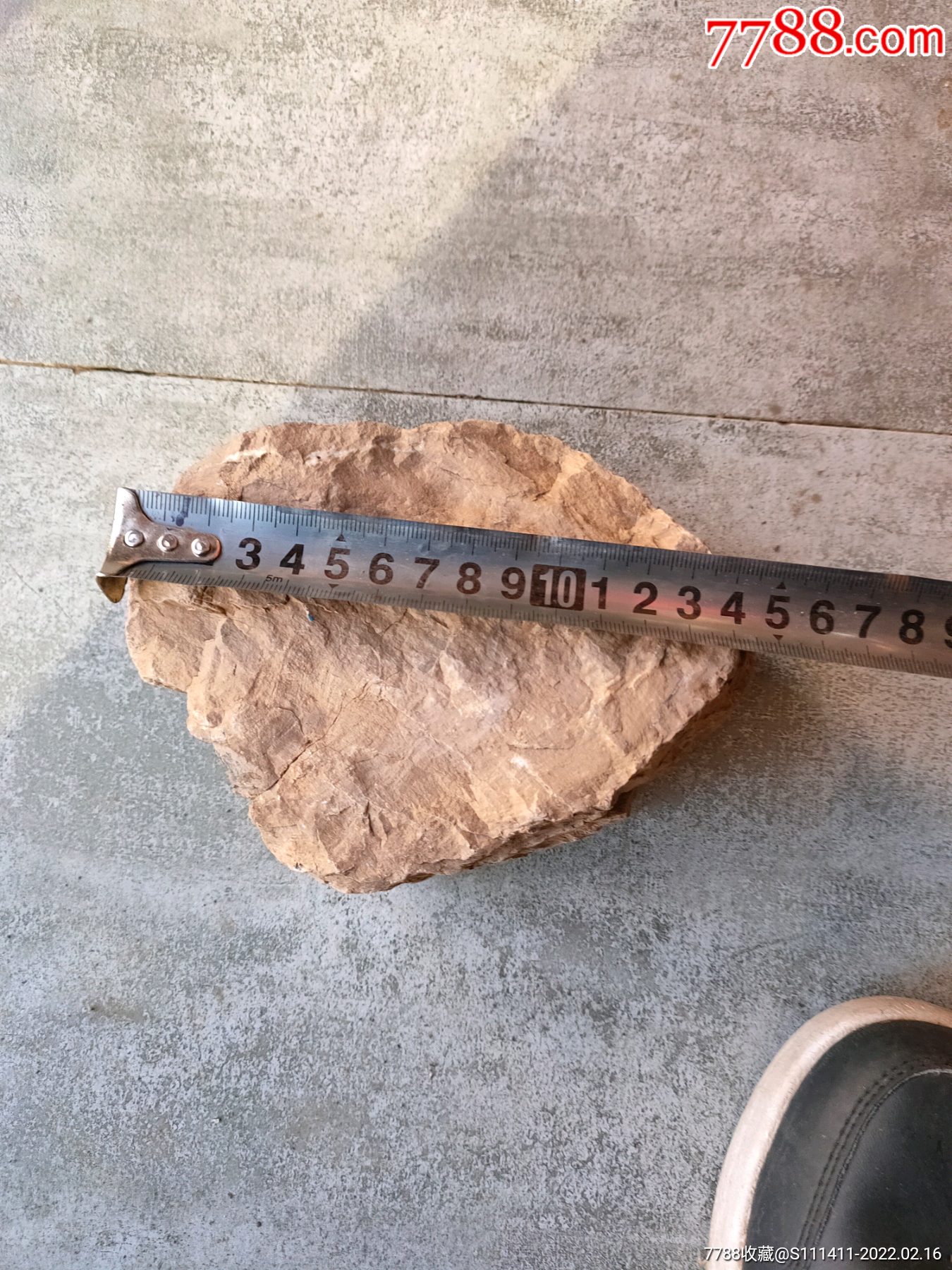 水冲硅化木原石价值图片