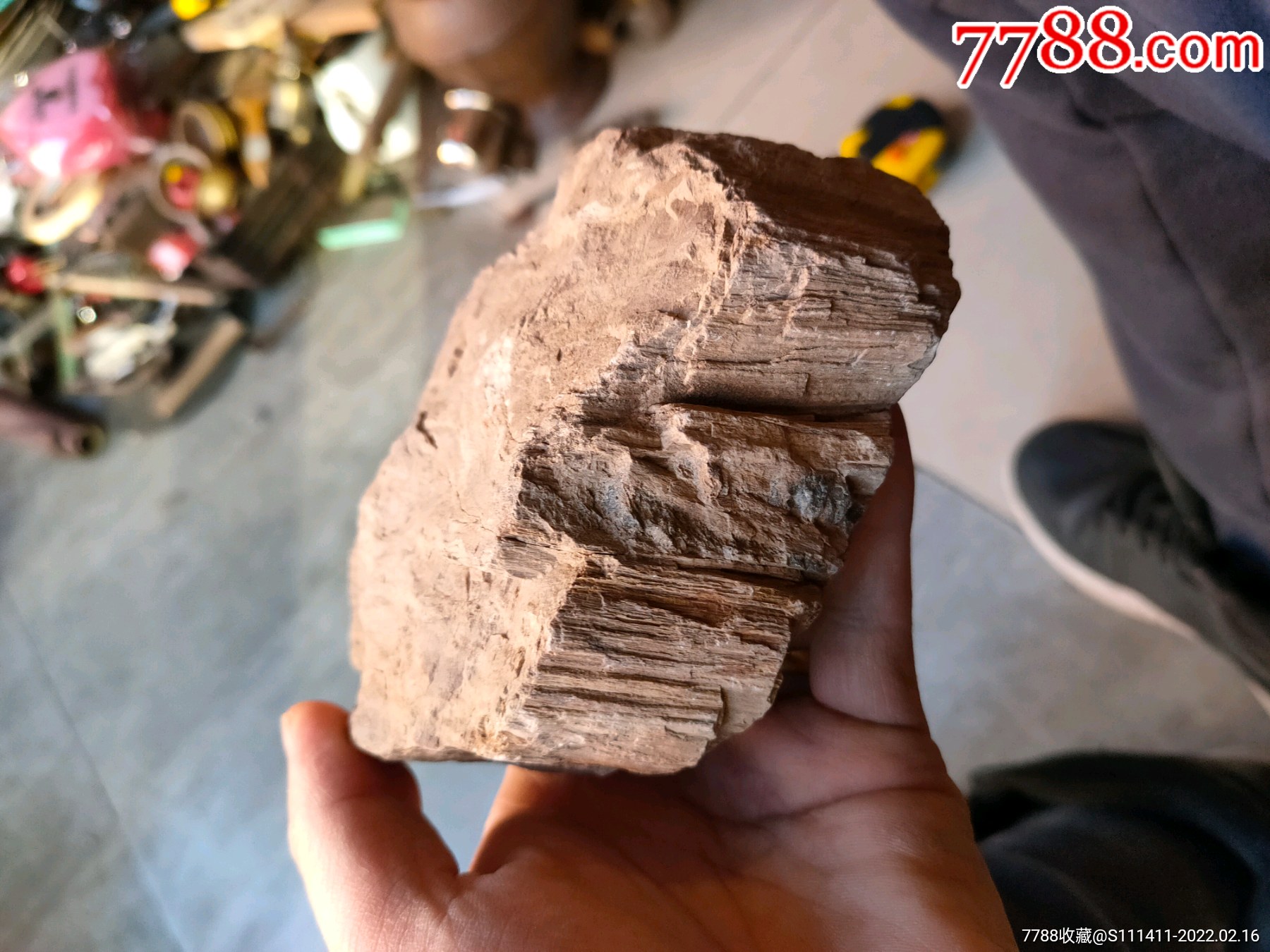 亿万年老木化石硅化木原石摆件