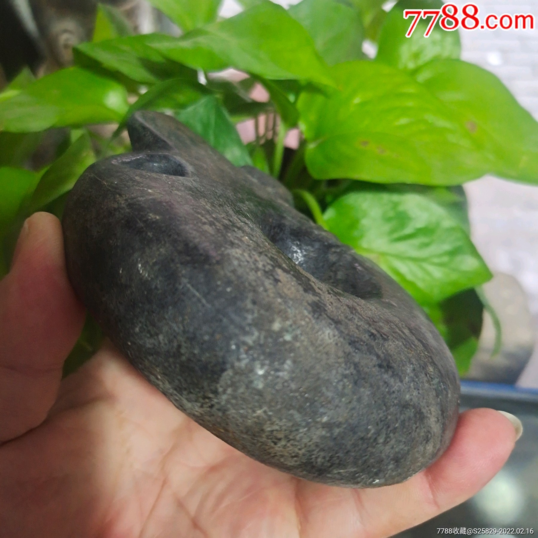 旧藏红山陨石黑皮玉猪龙_其他玉石/玉器_第5张_7788钟表收藏