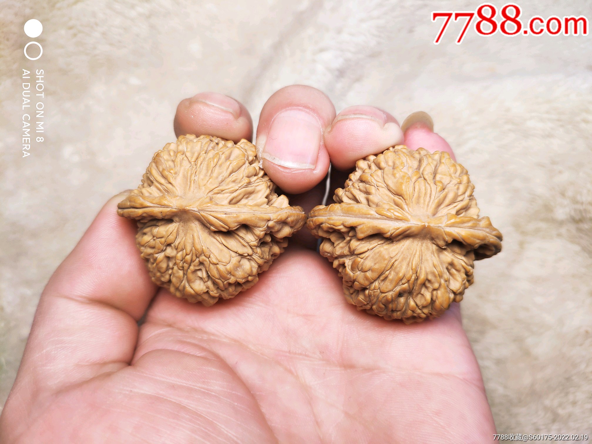 文玩核桃麦穗虎头一对