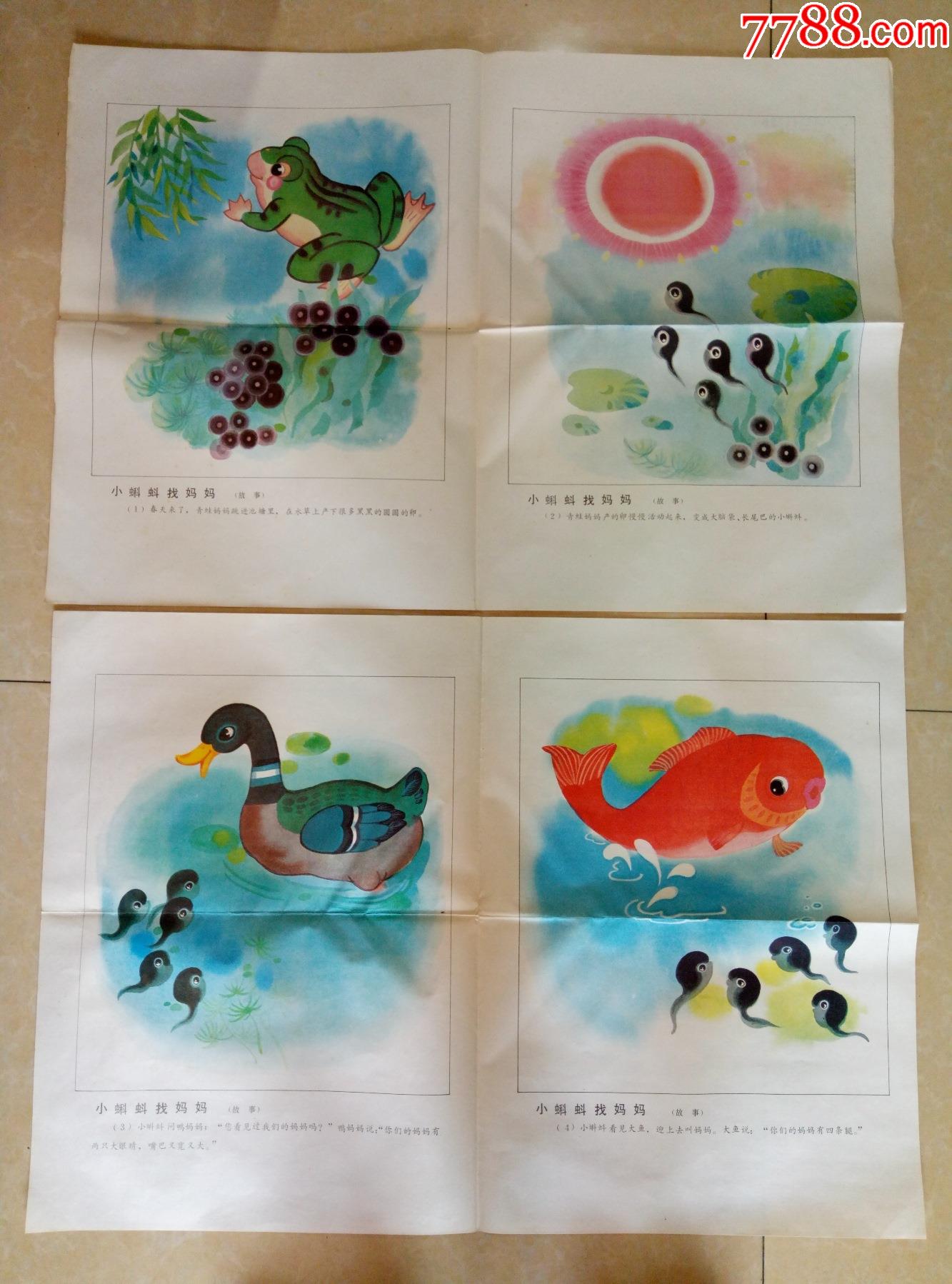 教学挂图小蝌蚪找妈妈14