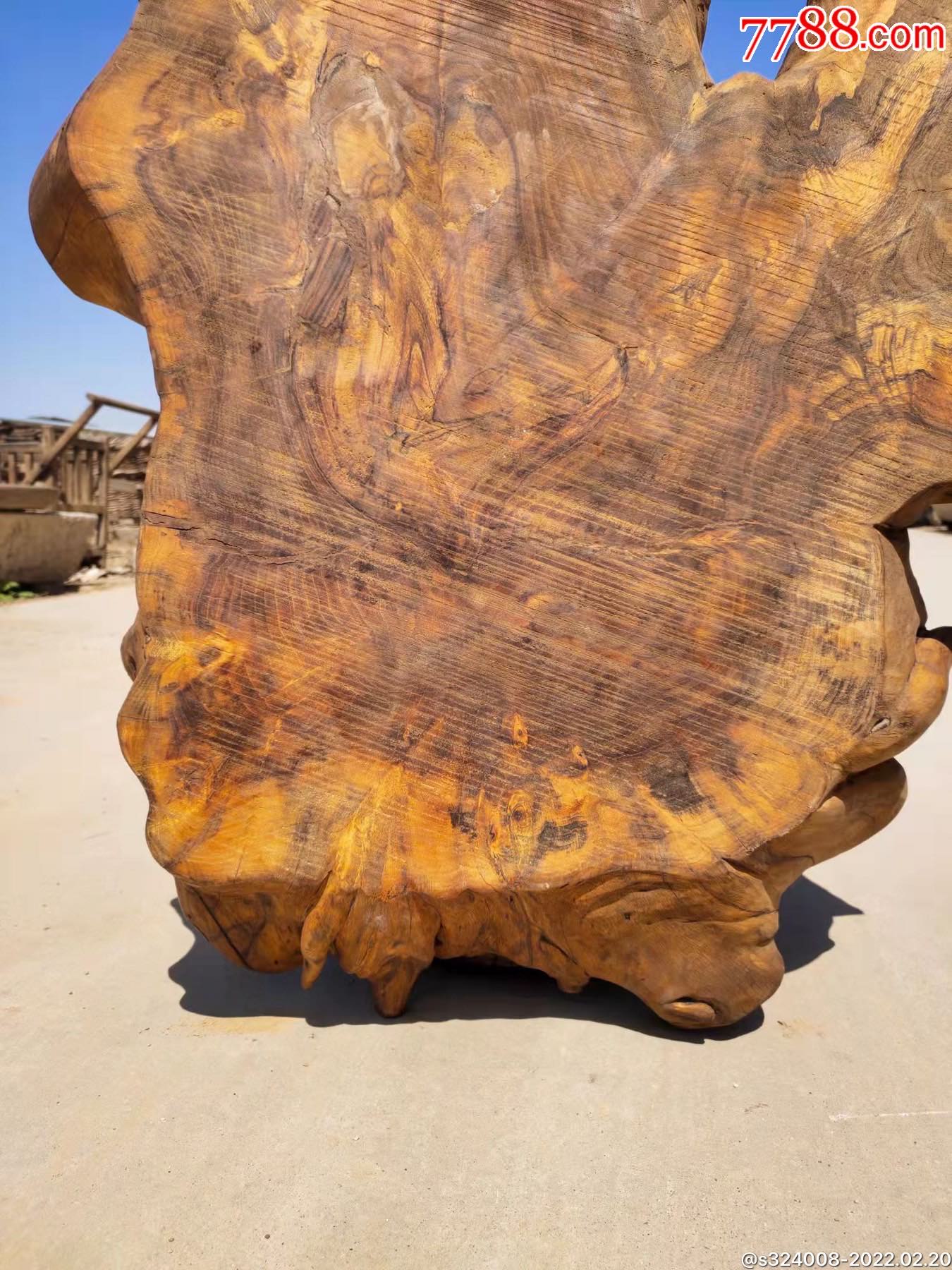 百年榆木樱子木随形板天然形成独特漂亮尺寸宽厚可做茶台