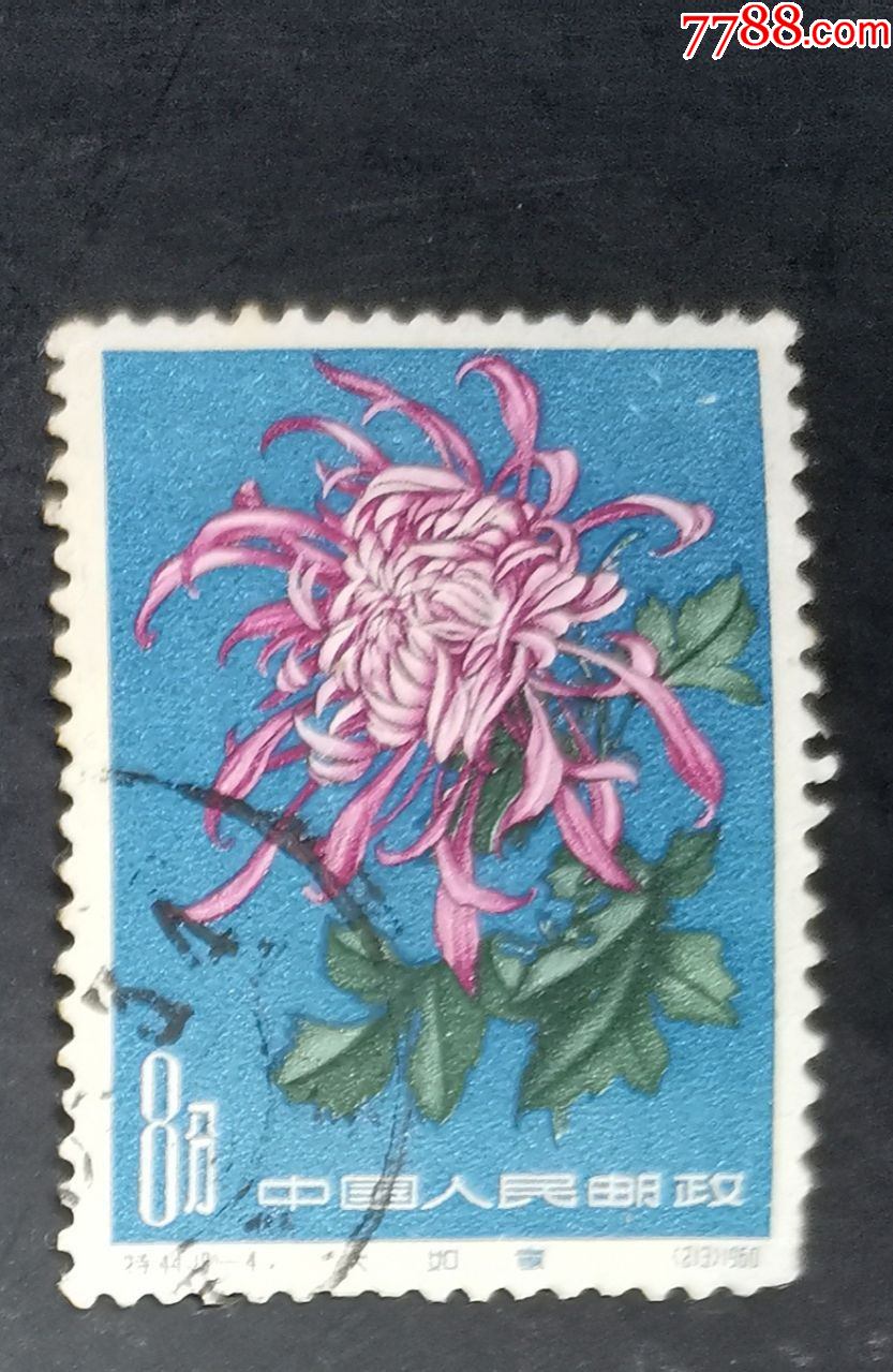 特44菊花-4,信销-价格:10元-se85472944-新中国邮票-零售-7788收藏