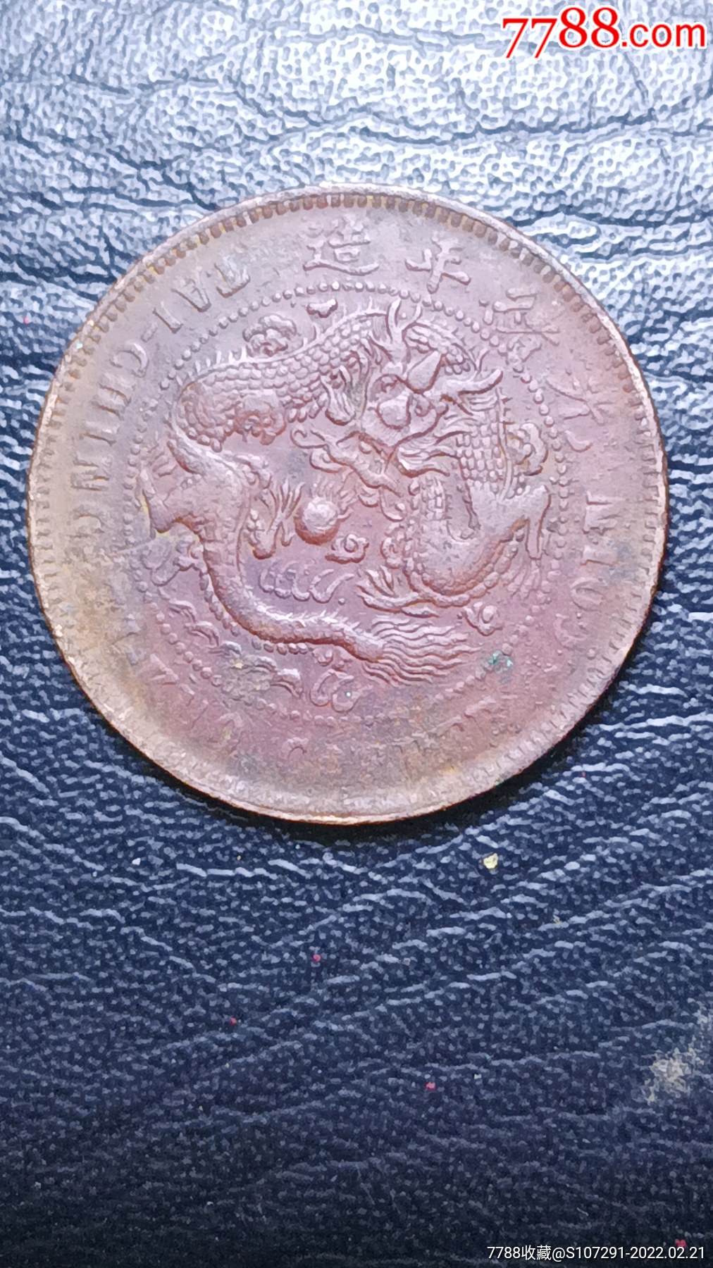 湖南中湘驼背龙