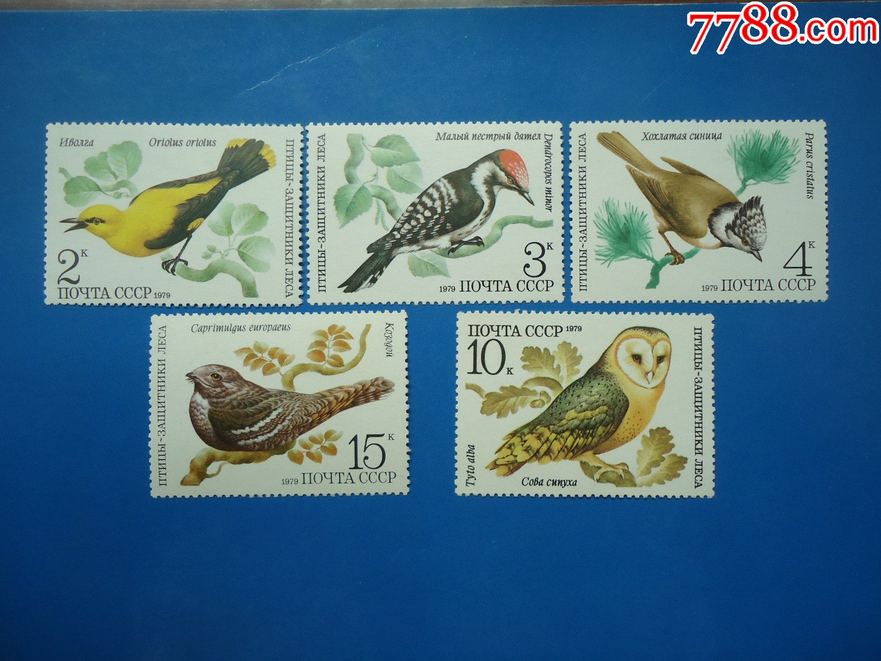 苏联1979年发行《益鸟》(5枚)_欧洲邮票_百姓乐集藏【7788收藏__收藏
