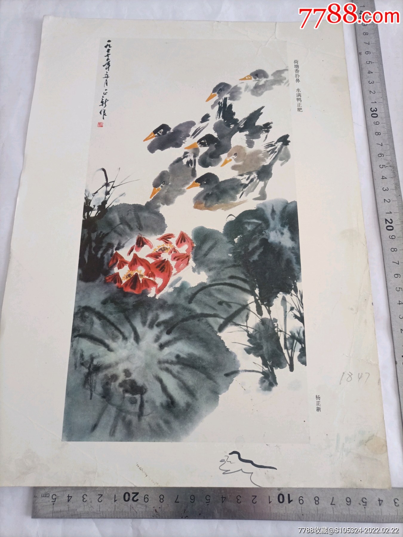 杨正新画市场价格图片