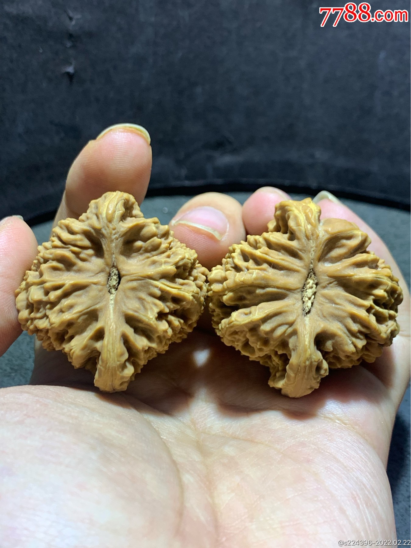 精美老树涿鹿黄尖南疆石狮子头文玩核桃一对