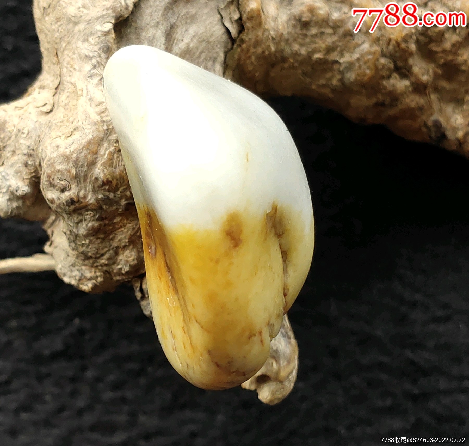 和田玉籽糖青花(和田籽玉青花料好吗)