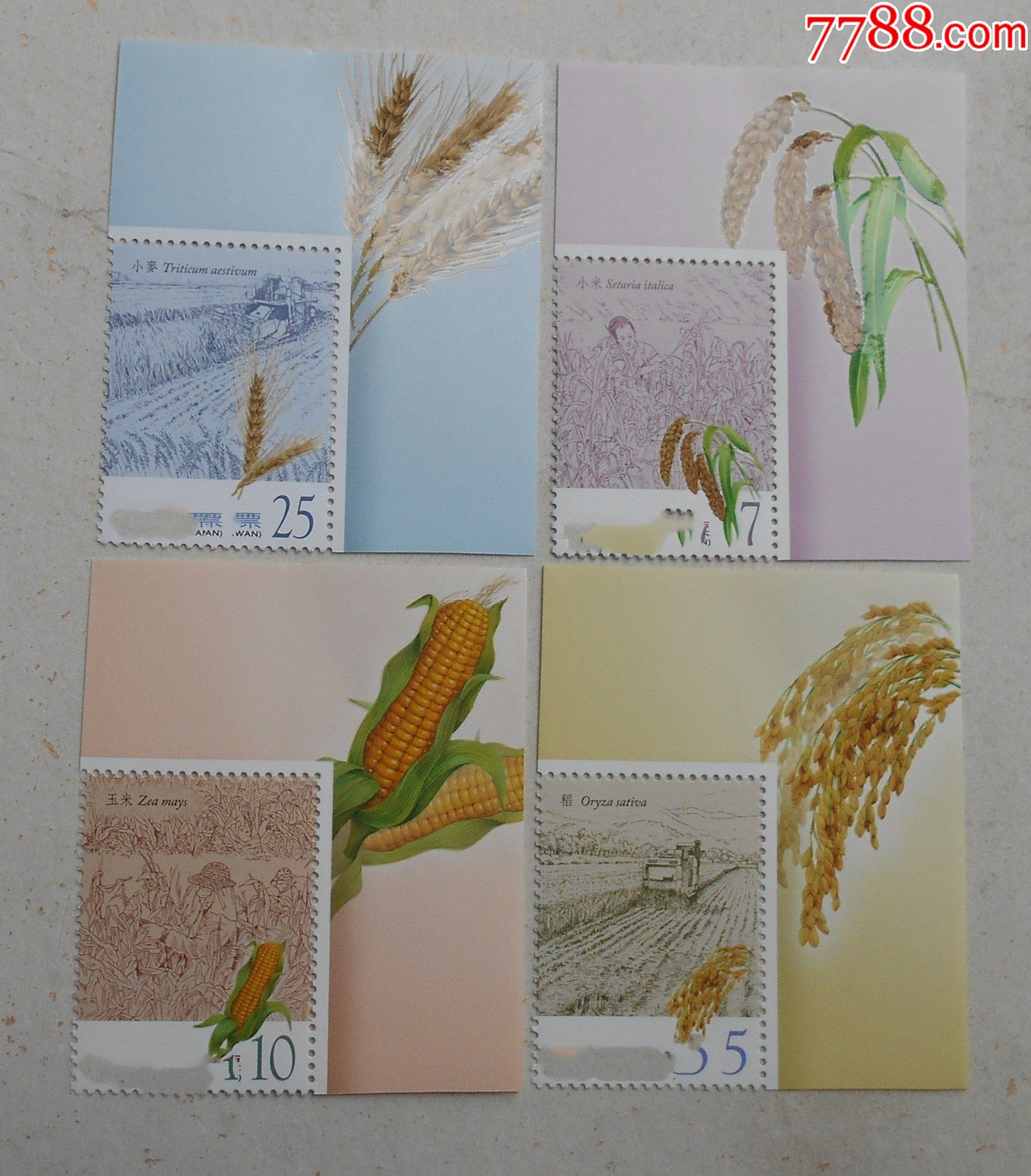 特585粮食邮票原胶全品右上直角彩边
