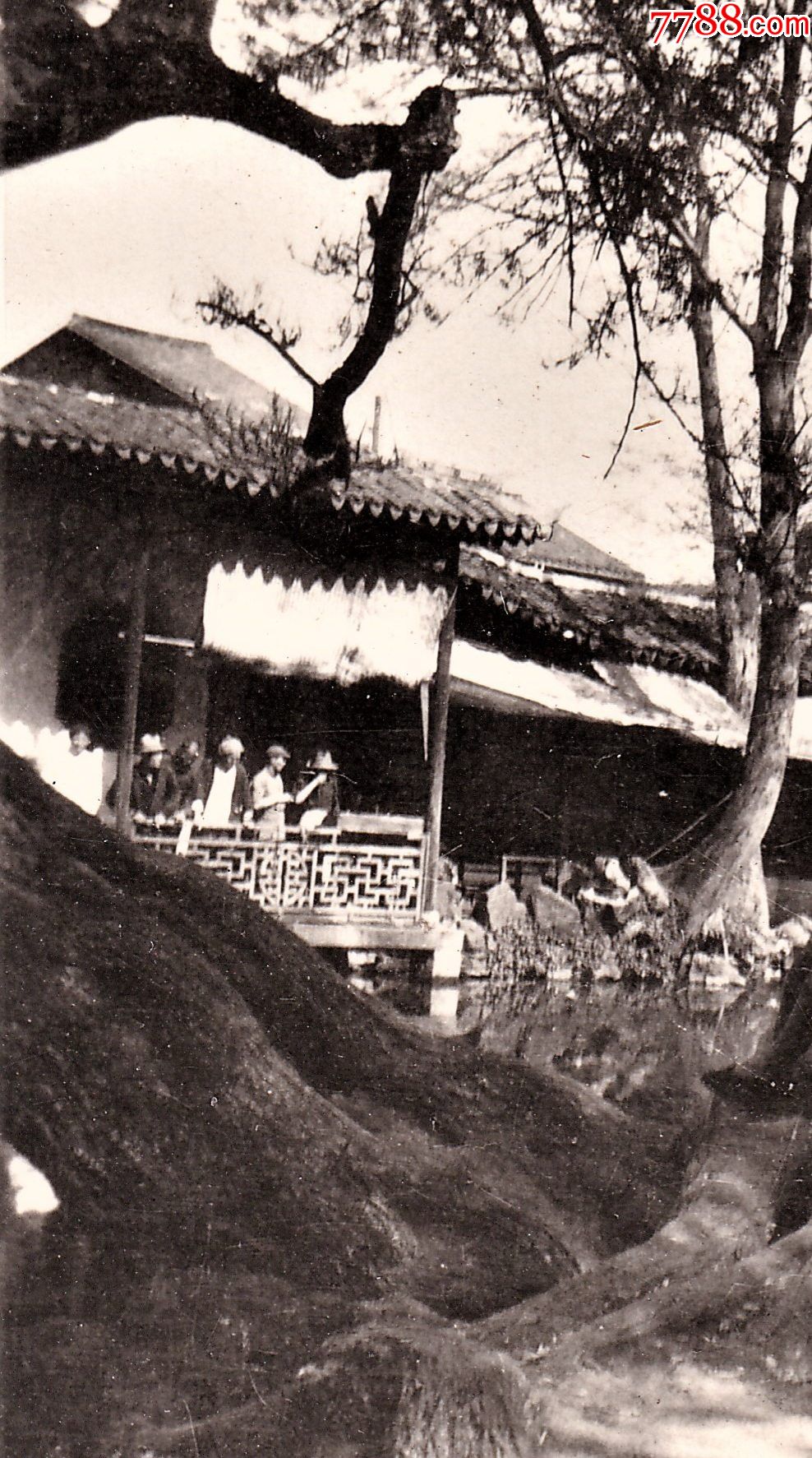 民国无锡寄畅园与古塔老照片