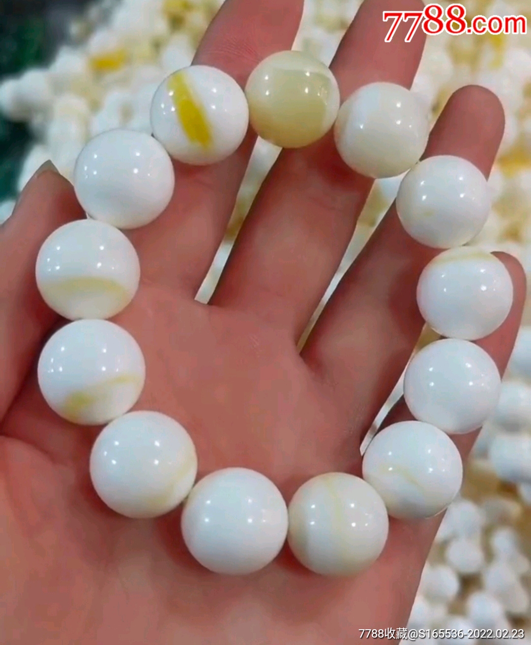 贝壳彩16厘米男款手串特惠新品