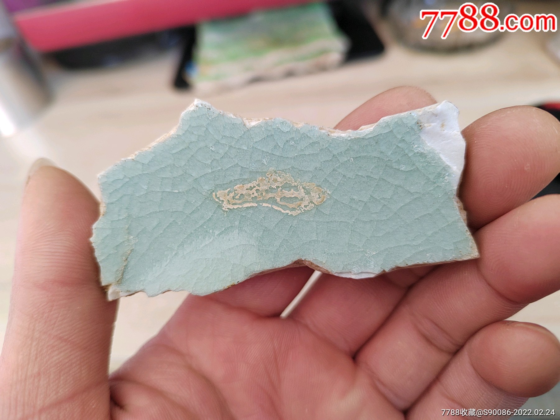 康熙郎窑绿瓷片标本