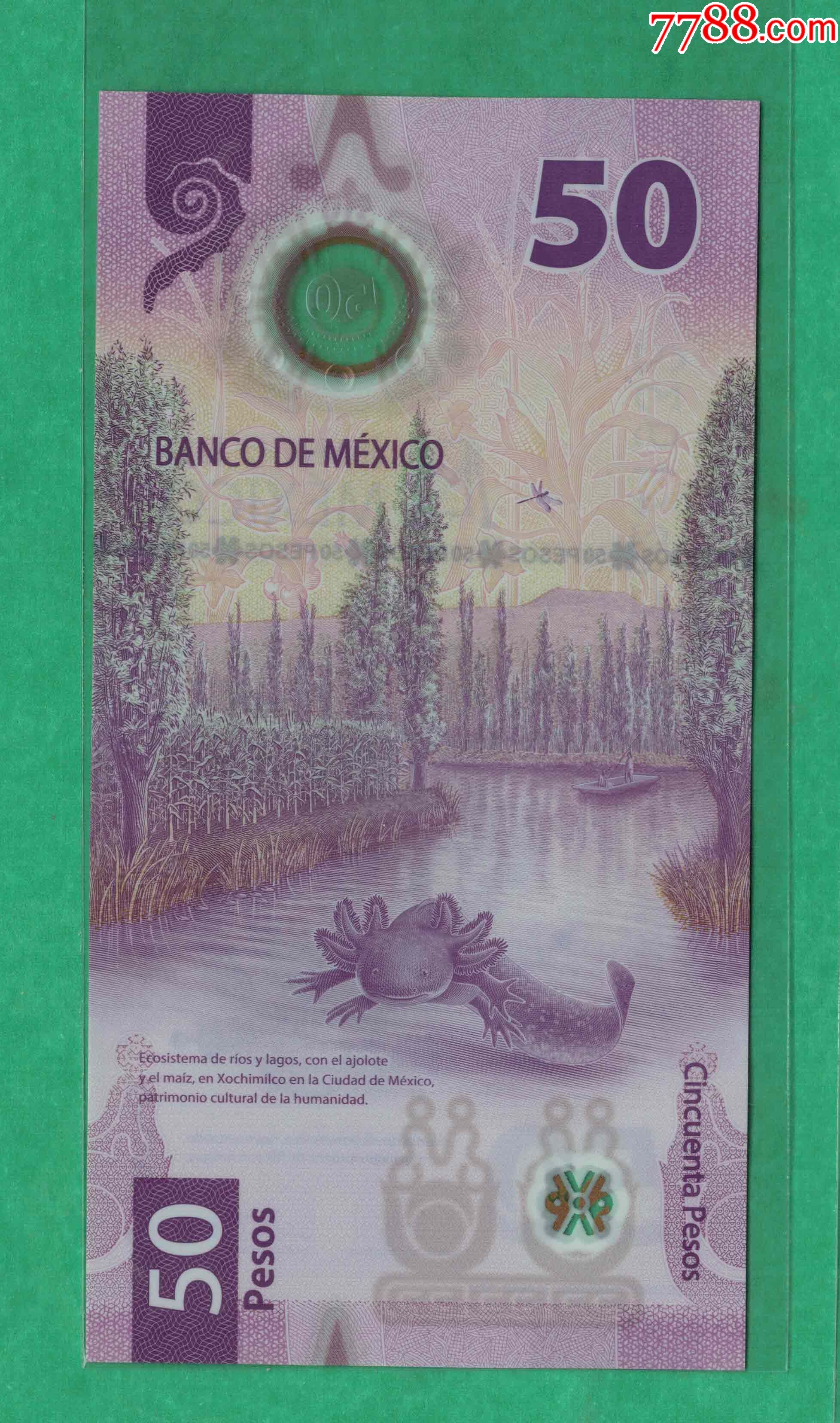 全新2021年墨西哥50比索塑料钞实图160unc