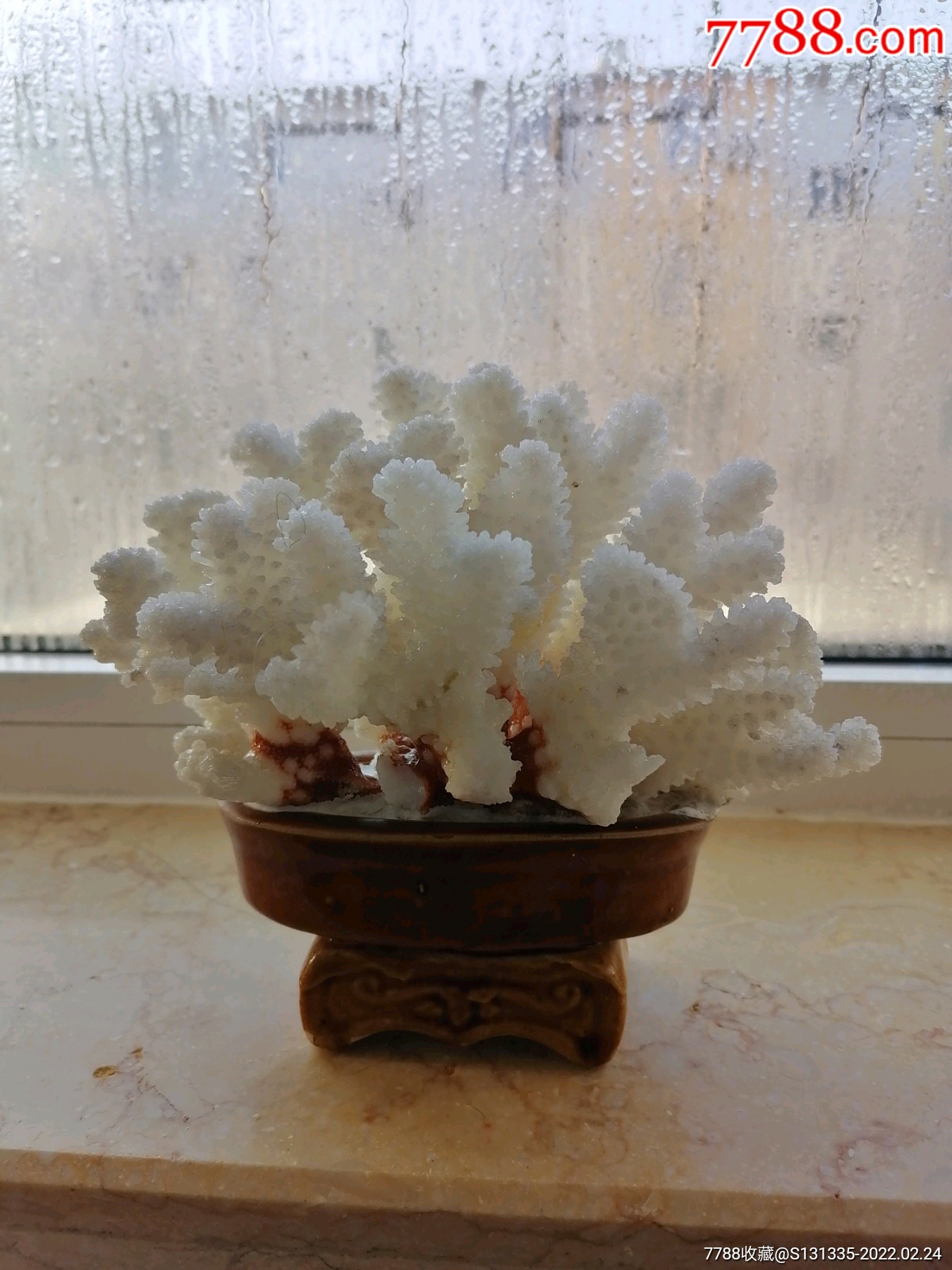 80年代白色珊瑚礁摆件