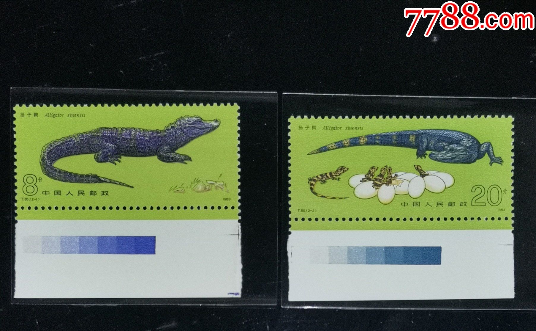 t85扬子鳄,色标-价格:22元-se85549433-新中国邮票-零售-7788收藏
