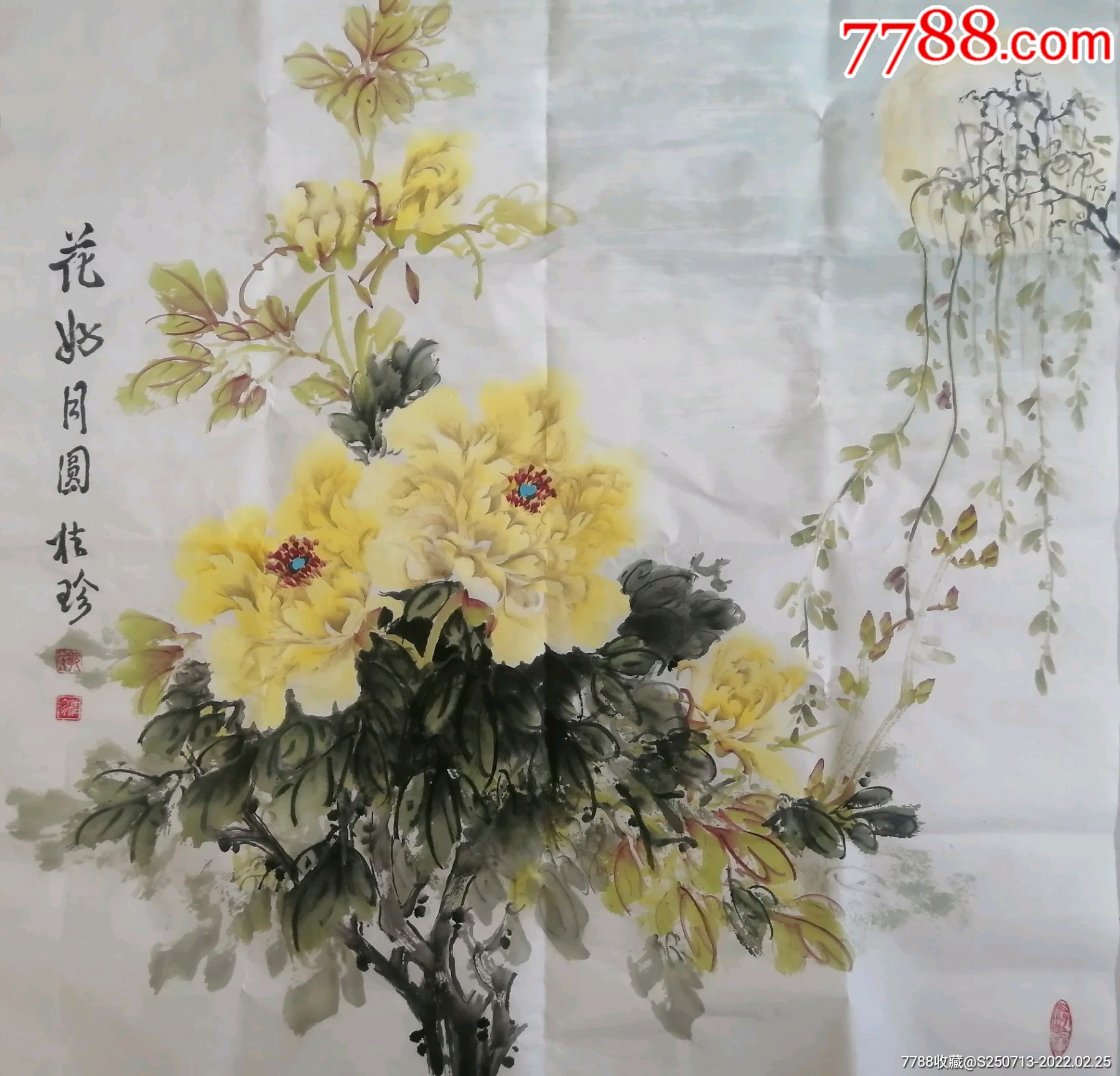 郭桂珍四尺斗方黄牡丹-花鸟国画原作-7788字画网