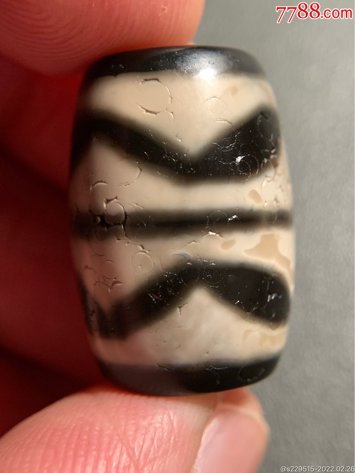 藏传双虎牙达洛天珠226162毫米