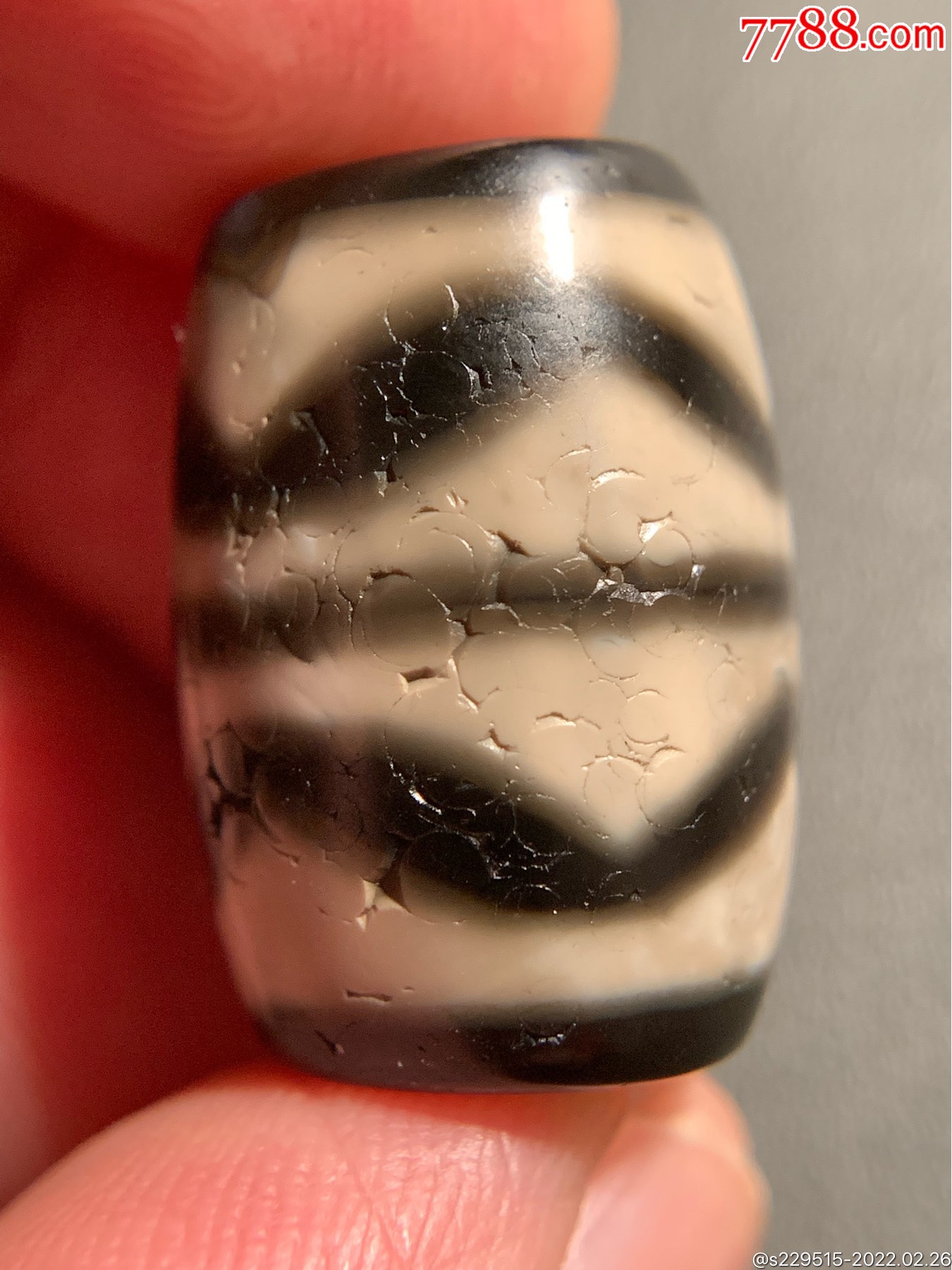 藏传双虎牙达洛天珠226162毫米