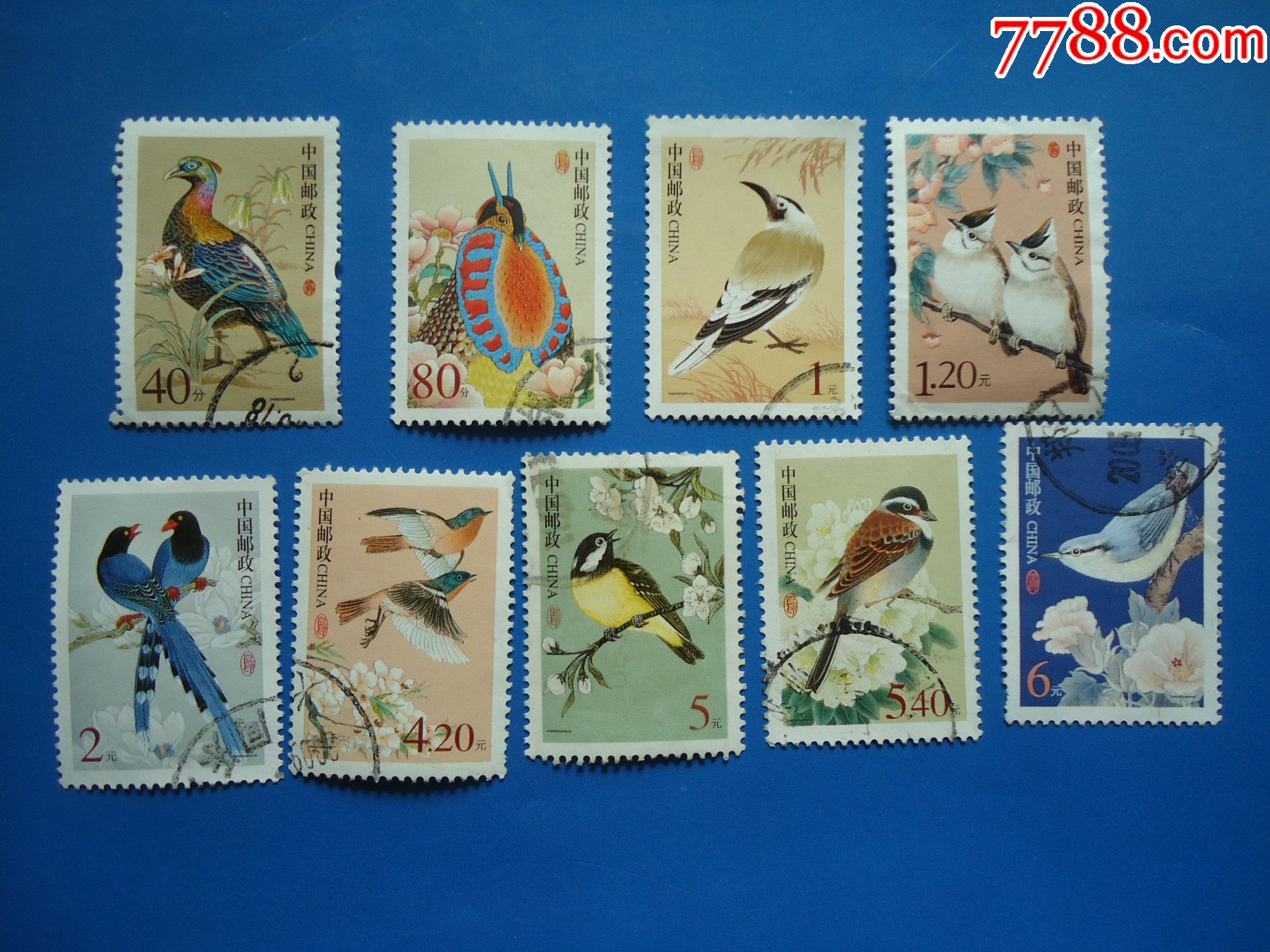普31中国鸟全套9枚