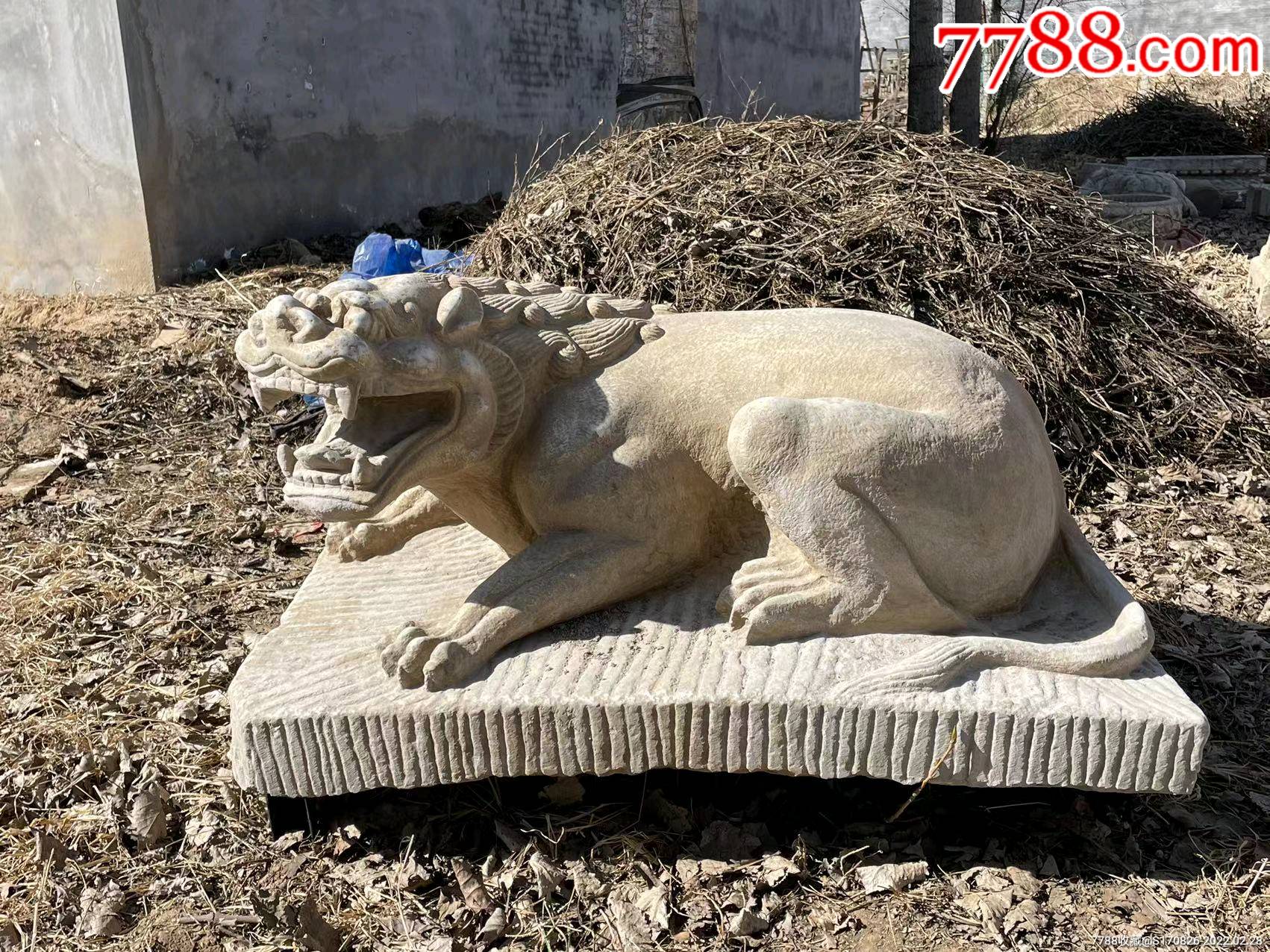 卧狮瑞兽趴兽汉白玉尺寸长118米宽75高63体态饱