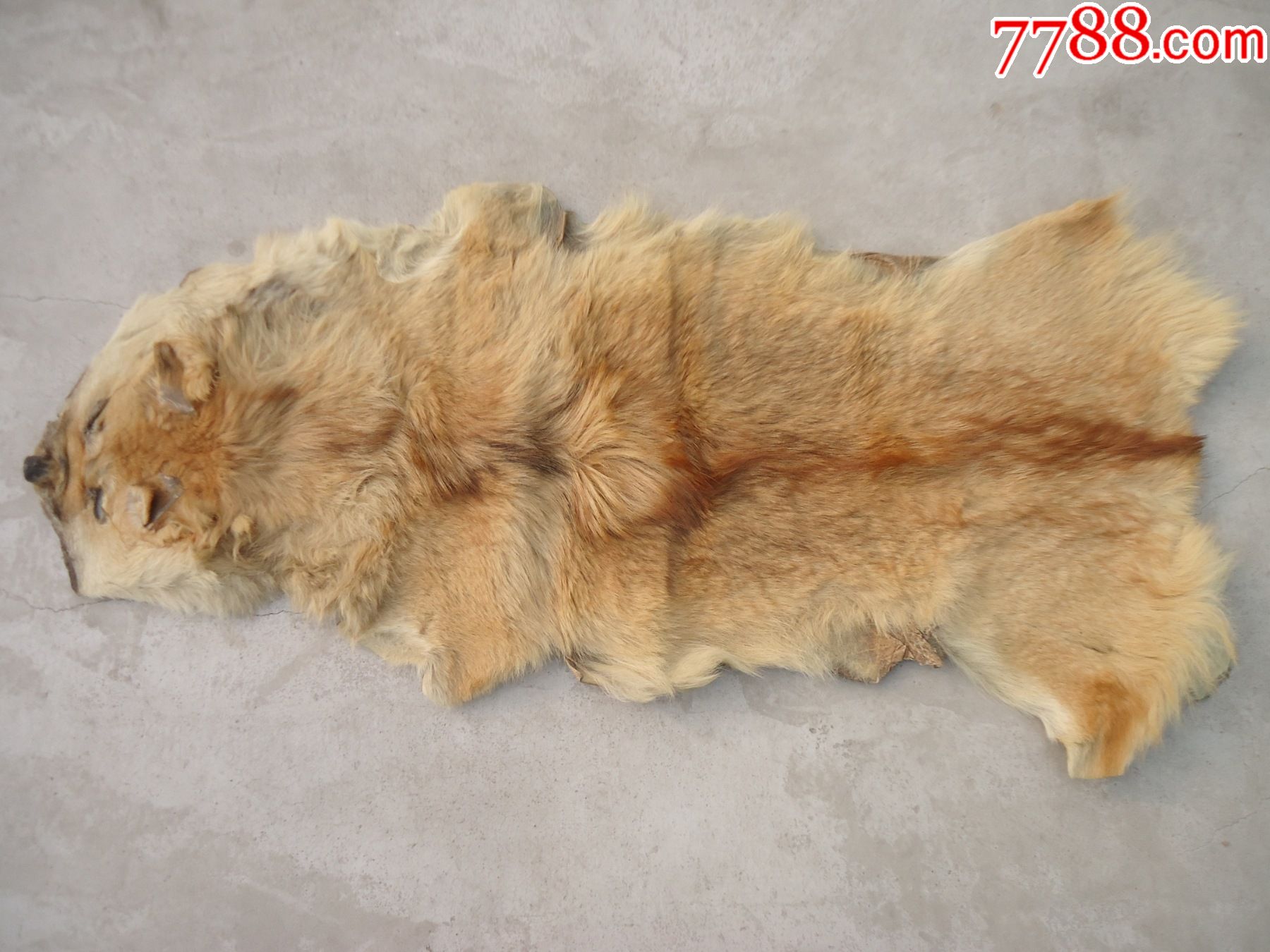 狗皮褥子_羽毛/毛制品_旧书收藏_回收价格_7788书籍