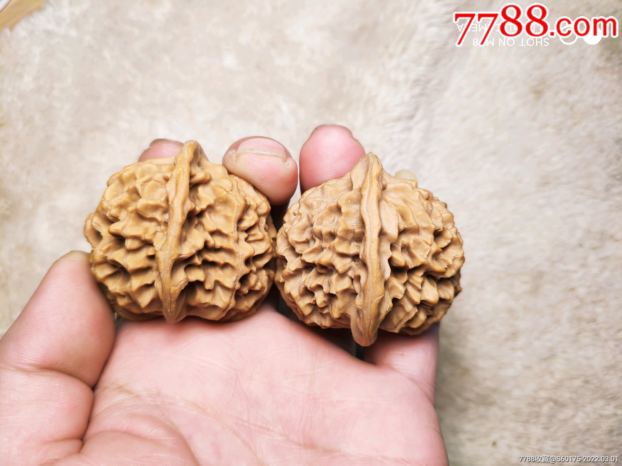 文玩核桃帝王狮子头一对-价格:258元-se85636315-文玩核桃-零售-7788