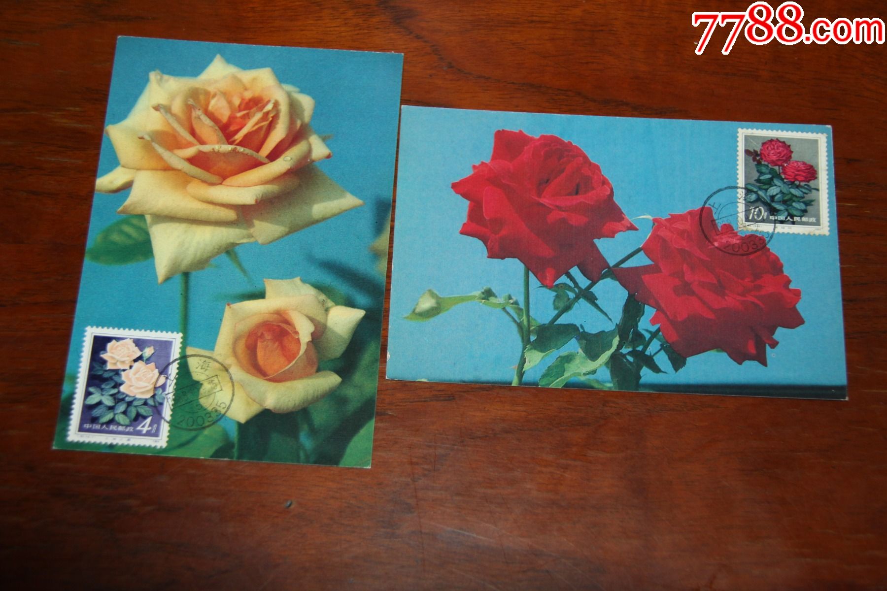 月季花极限明信片