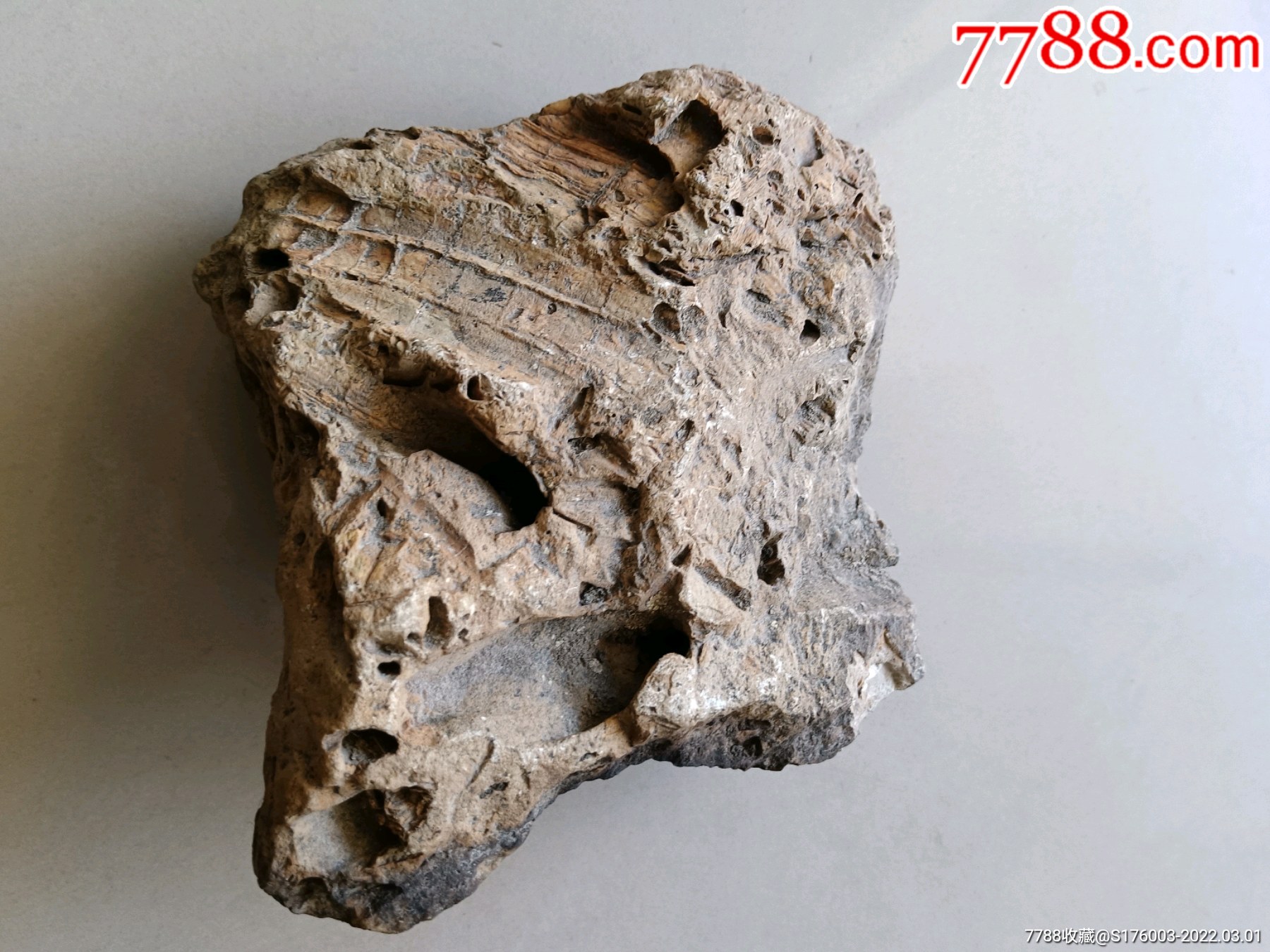 老石头一个_其他奇石/岩石_图片价格_收藏价值_7788铜锁收藏