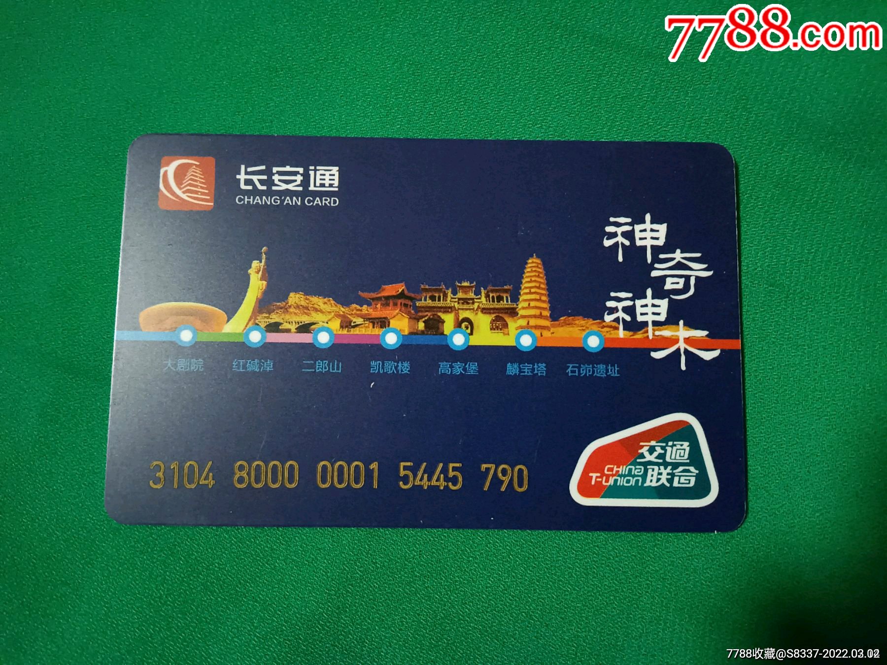 长安通衶奇神木