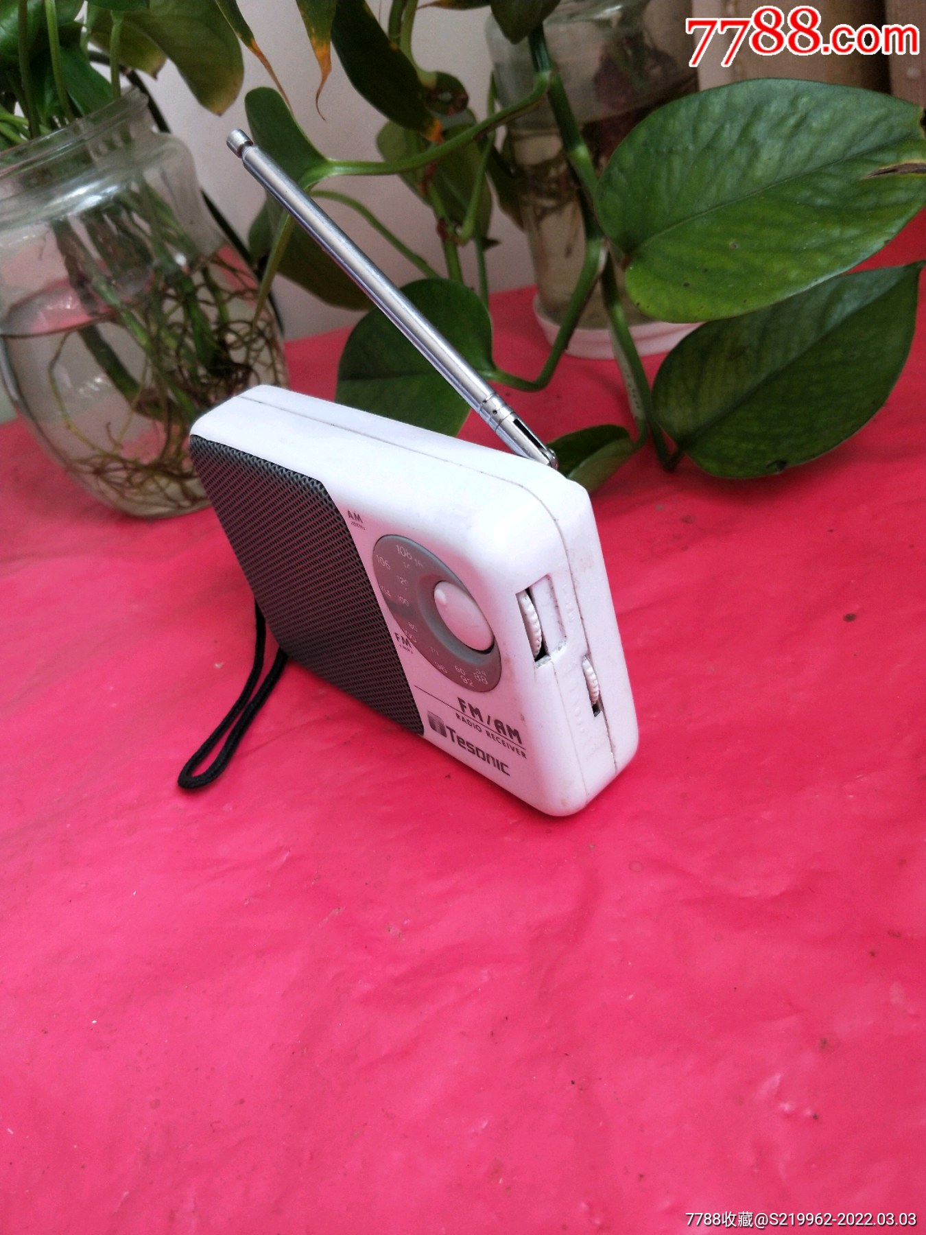 迪桑tesonic收音机