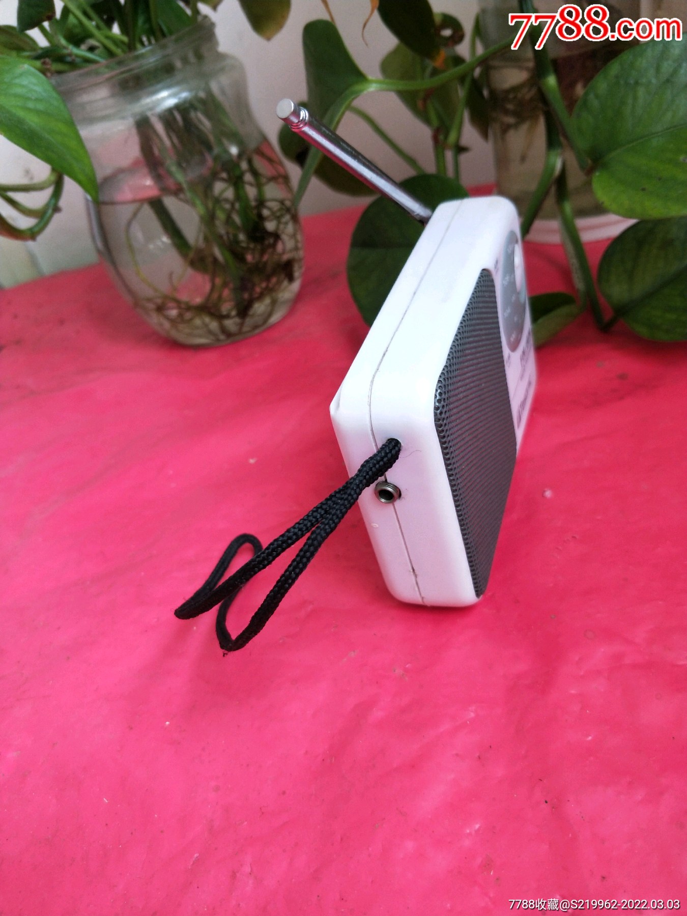 迪桑tesonic收音机