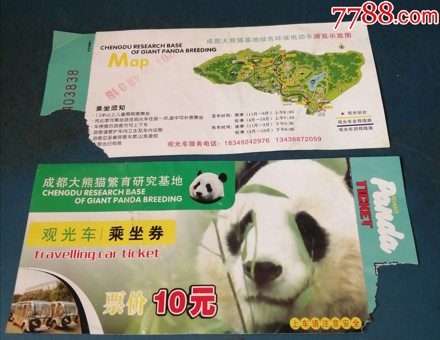 成都大熊猫繁育基地观光车票熊猫图