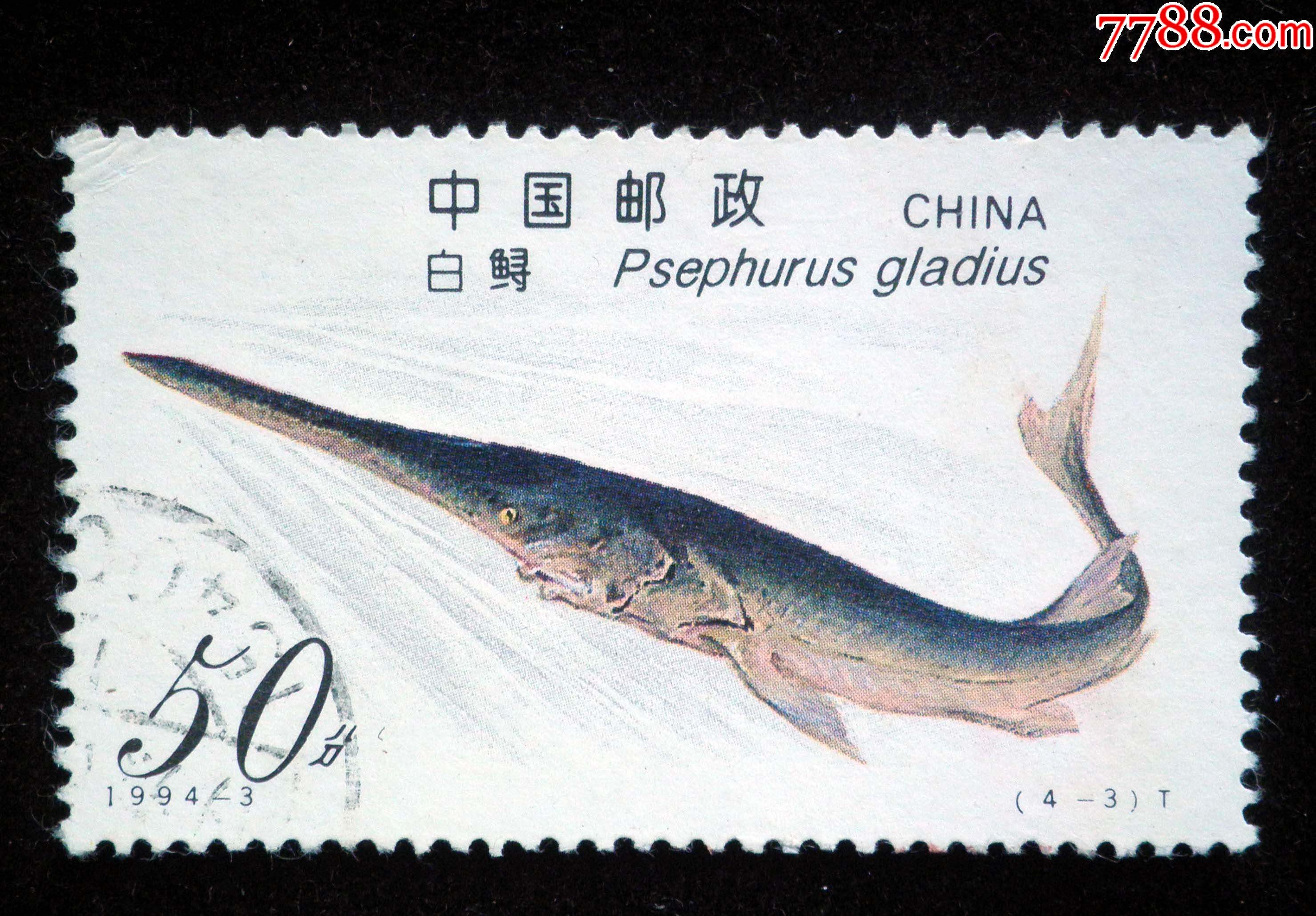 信销票1994-3鲟4-3:白鲟_新中国邮票_第1张_7788老酒收藏