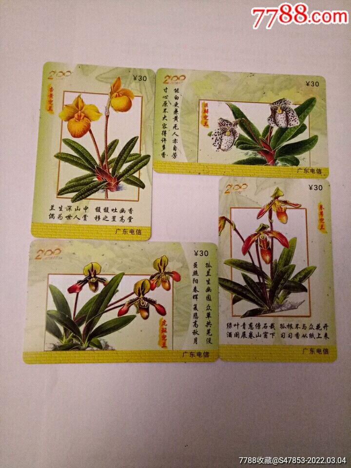 三年级植物兰花记录卡图片