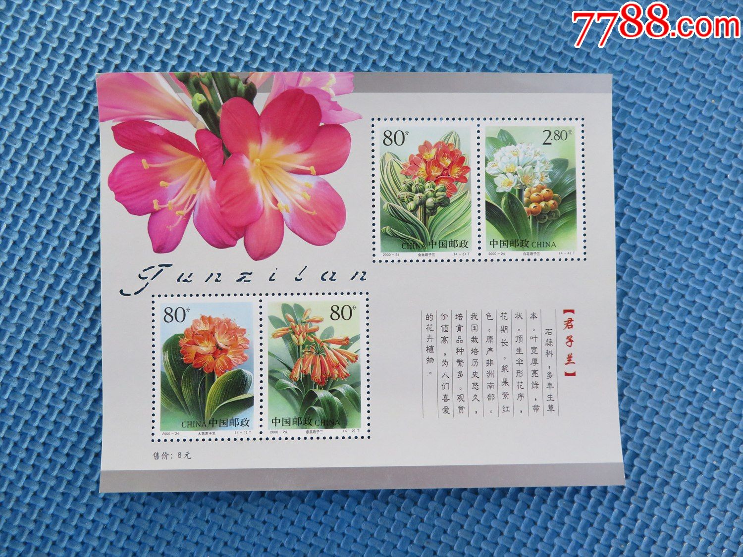 2000年200024君子兰小型张一枚邮票