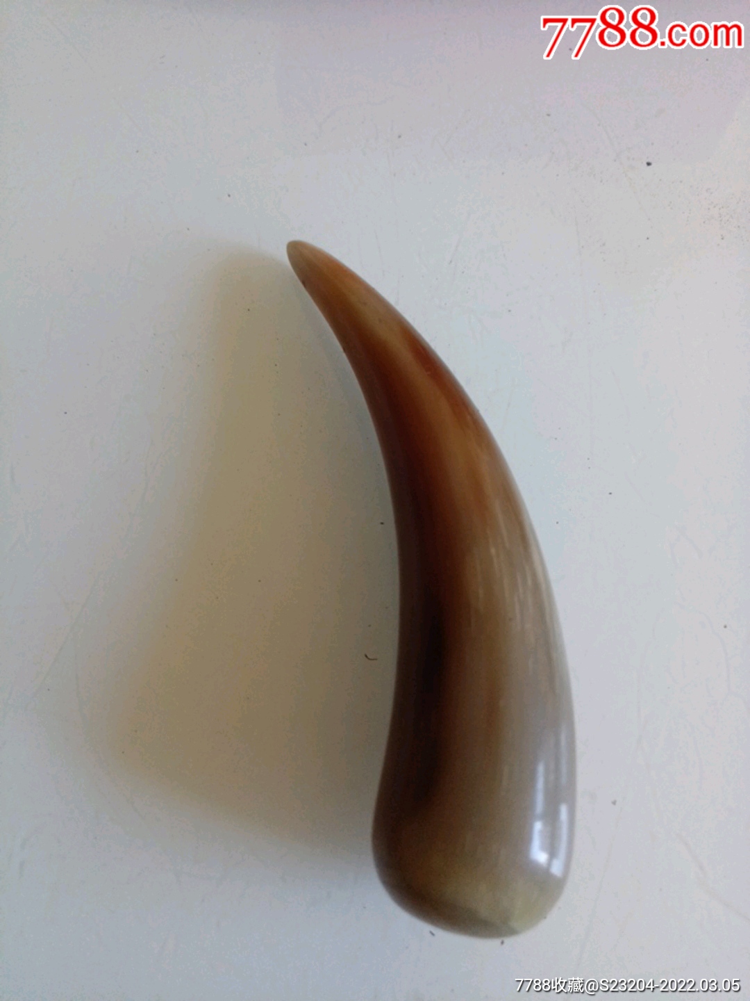 实心黄牛角145厘米重89克