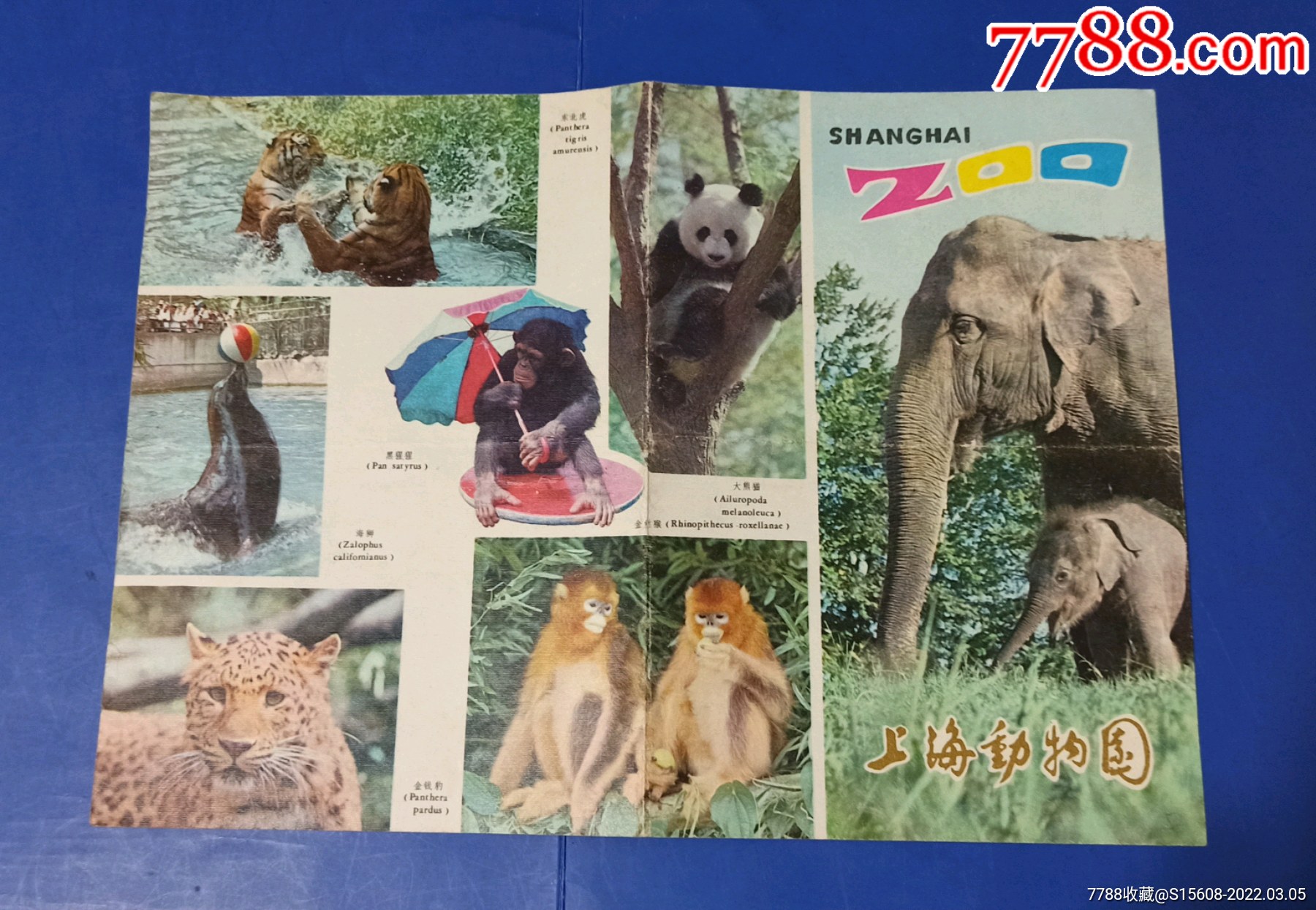 上海動物園導遊圖有大熊貓圖