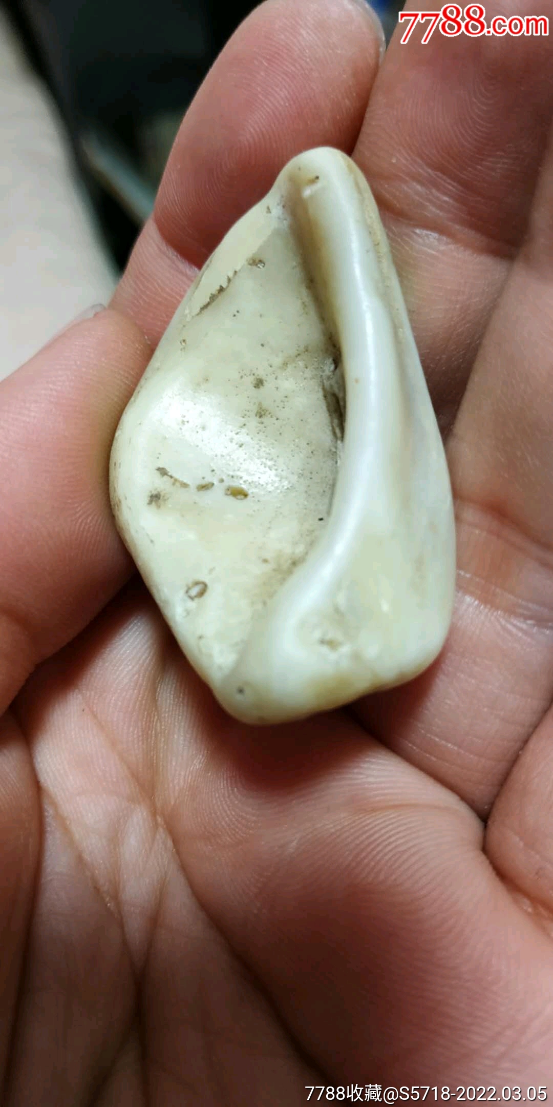 老贝壳,长5厘米,玉化,还有小孔,原始挂饰_价格960元【扶余藏古轩】_第