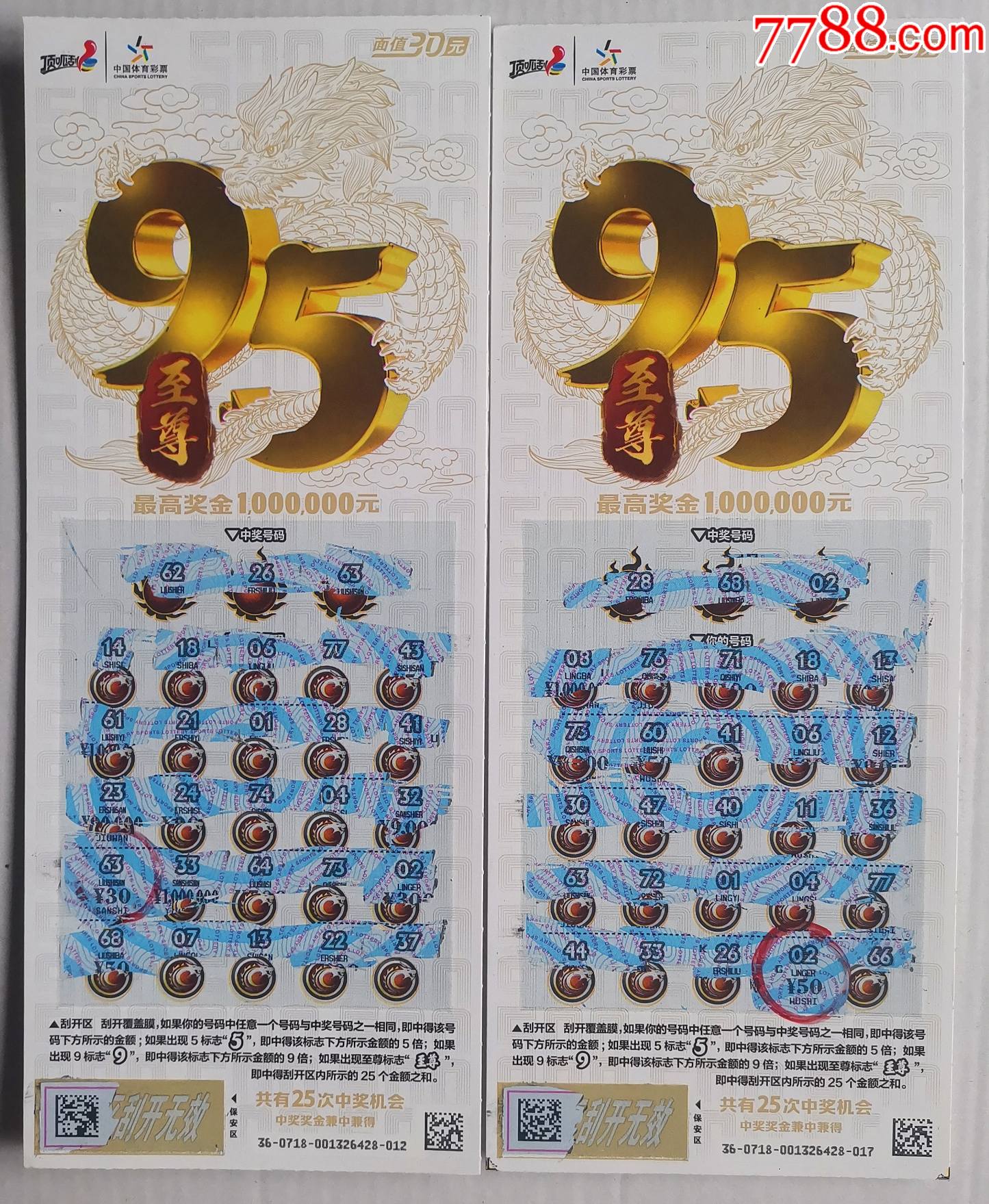 体彩22021071895至尊2全中奖票银版