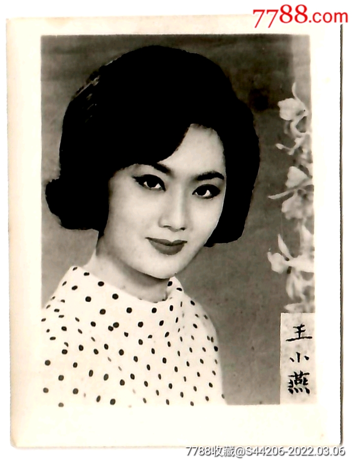 早期美女演员电影明星黑白老照片王小燕