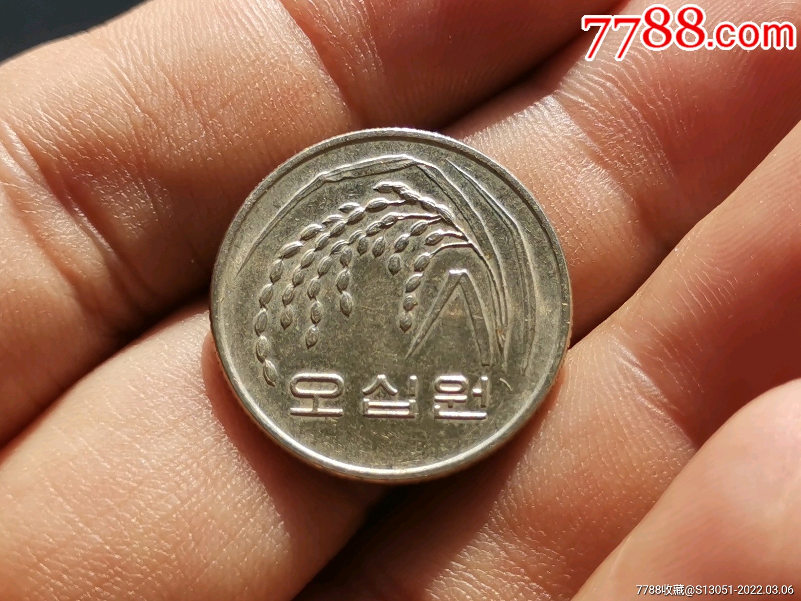 韩国币50